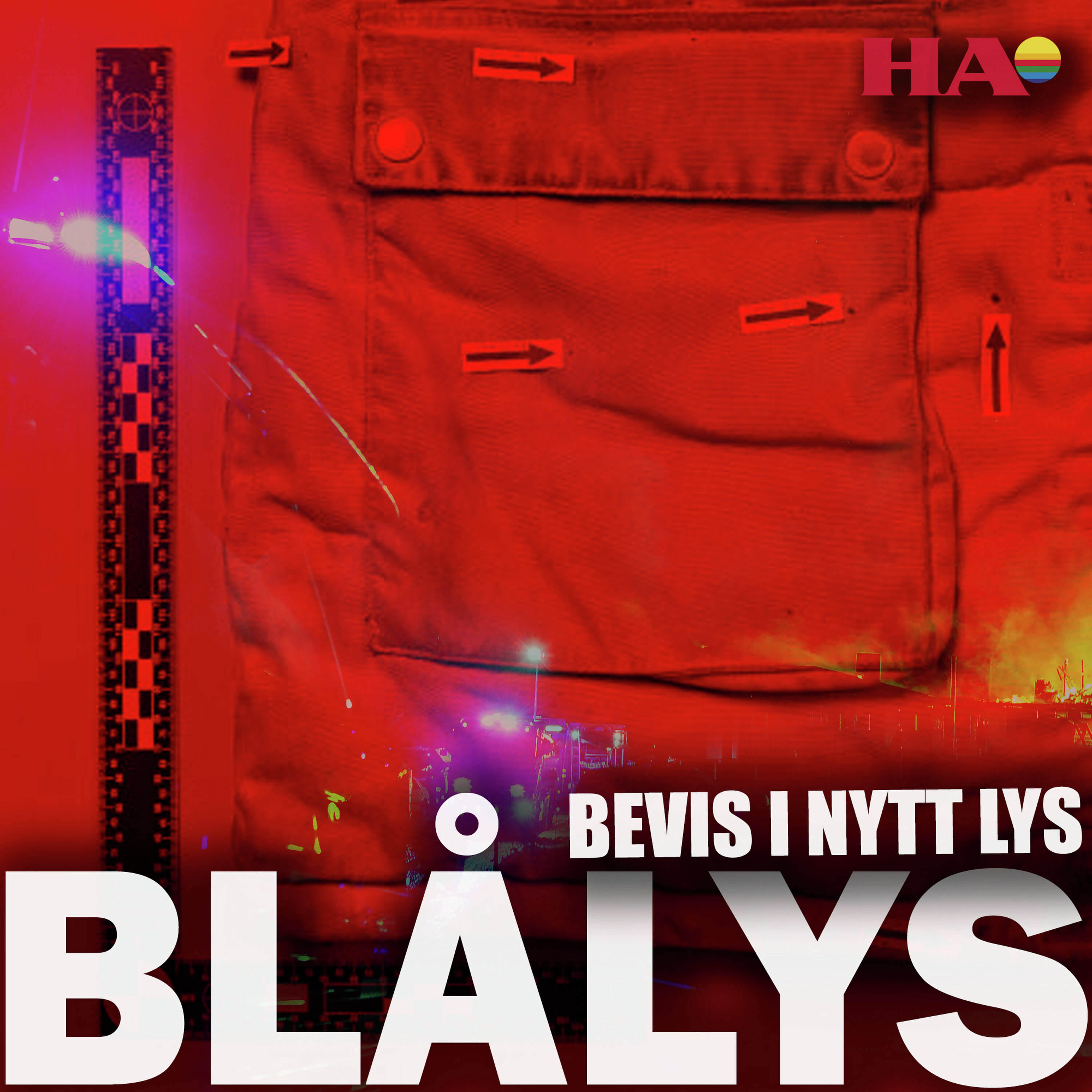 Blålys Podcast: Tolv bevis i Løten-saken - slik endrer de seg med hennes nye forklaring Blålys episode image