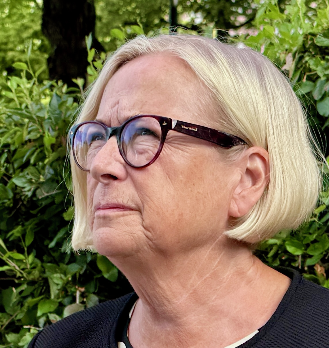 ARNSTAD: Tror det blir regjeringskrise episode artwork