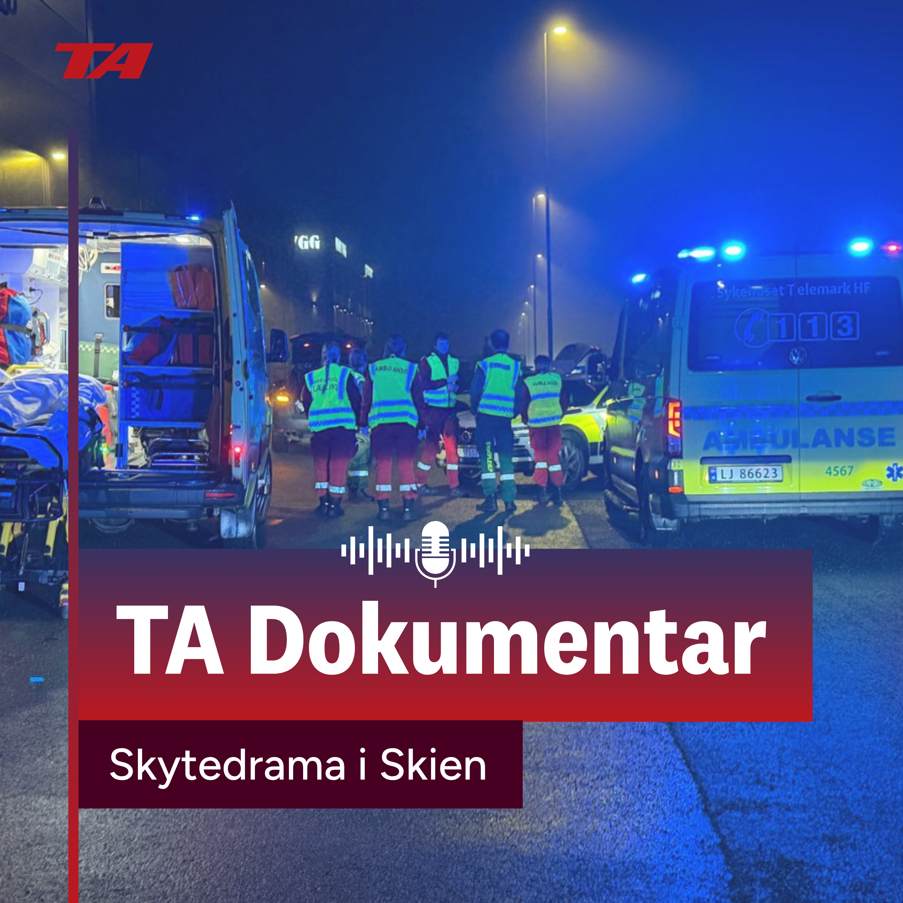 Skytedrama i Skien: Brødrene slipper ut