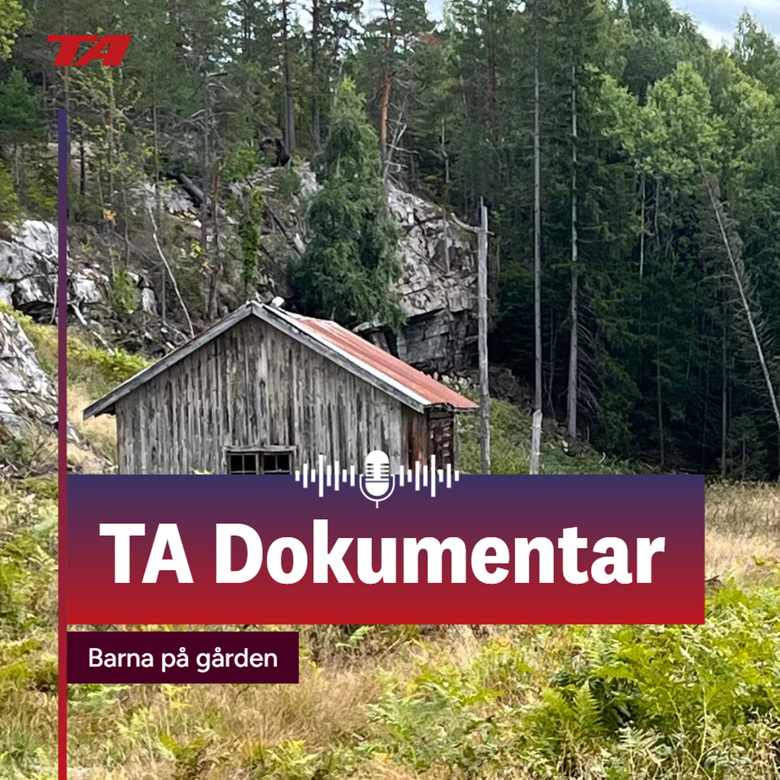 Barna på gården