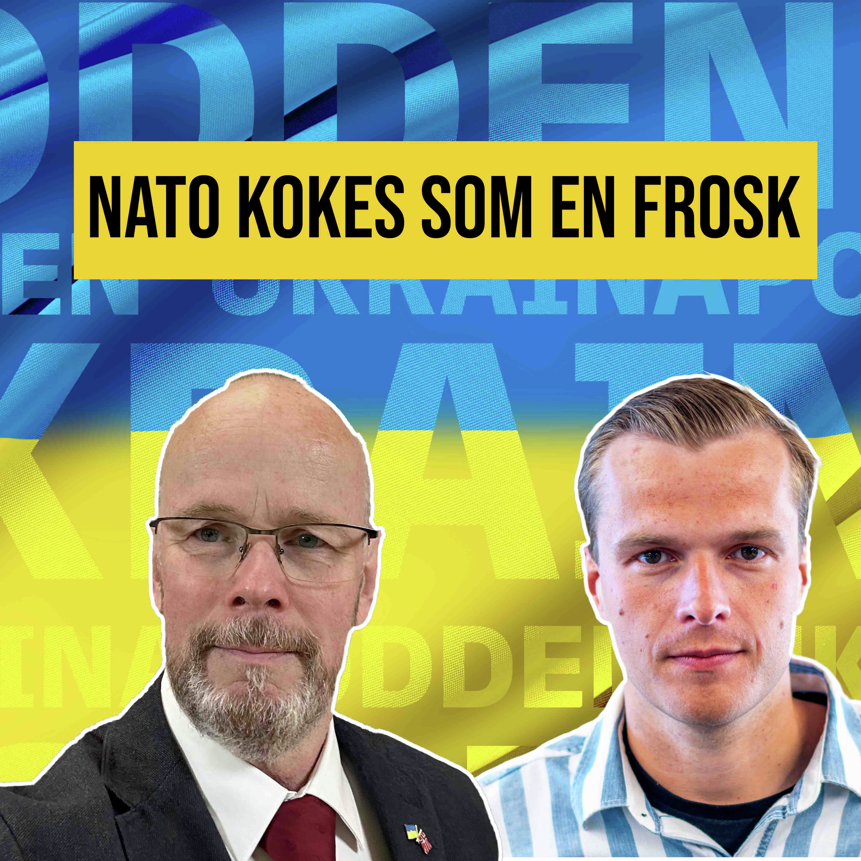 Nato under press, Svalbard er dårlig beskyttet og fredsforhandlingene fortsetter