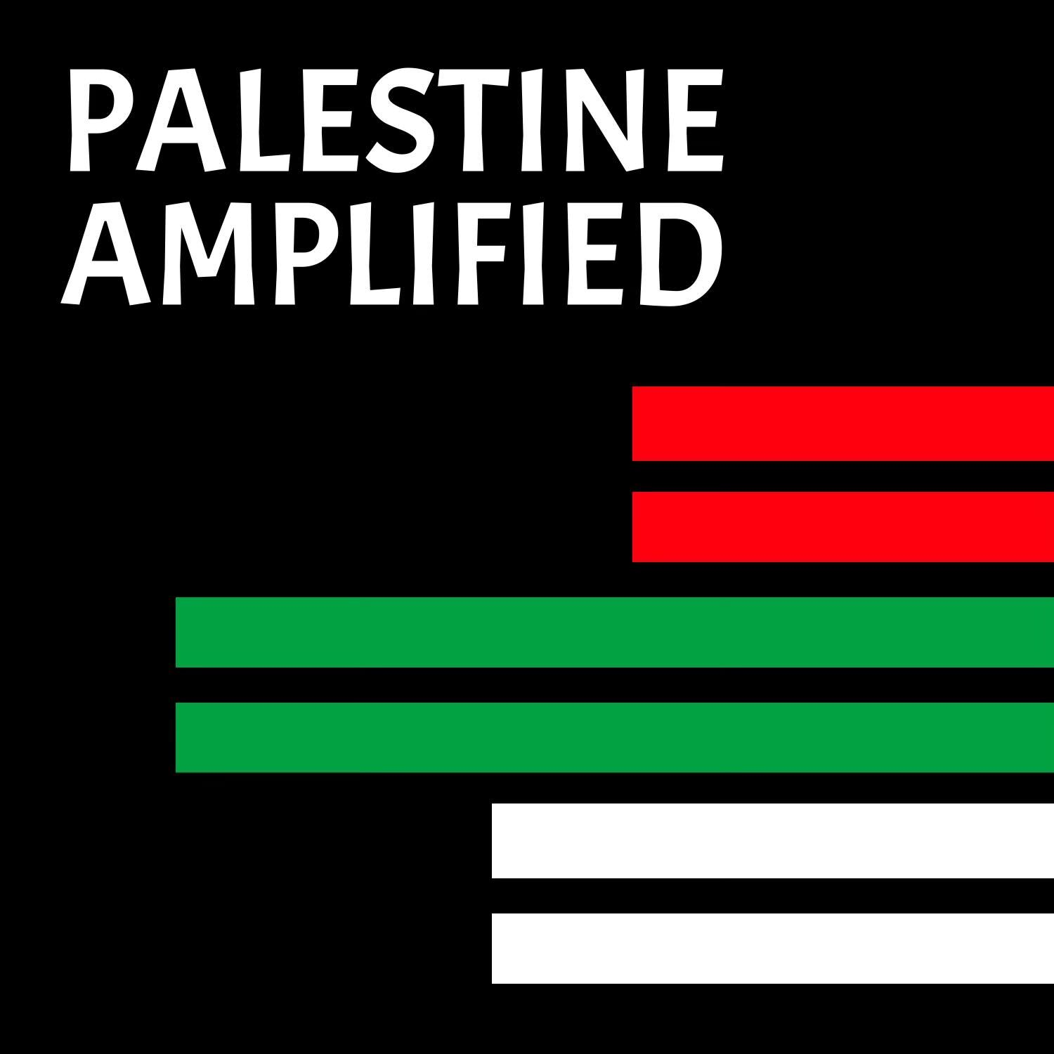 Palestine Amplified Part 1: Connecting Our Struggles