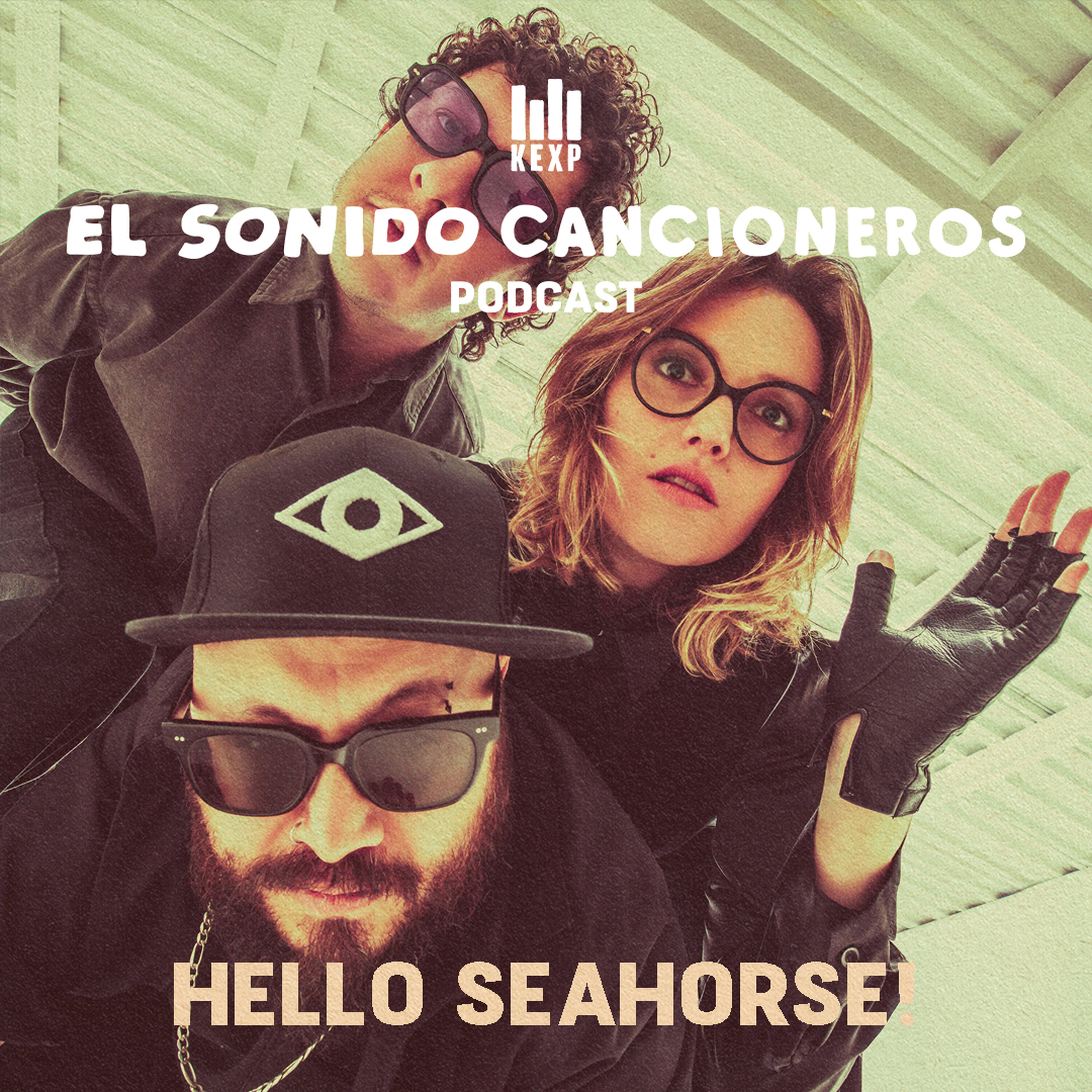 Hello Seahorse! | El Sonido: Cancioneros — 20 años de música alternativa y Montaña, su nuevo álbum episode artwork