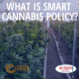 What is Smart Cannabis Policy?