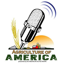 European agriculture policy: Bill Wirtz on Agriculture of America