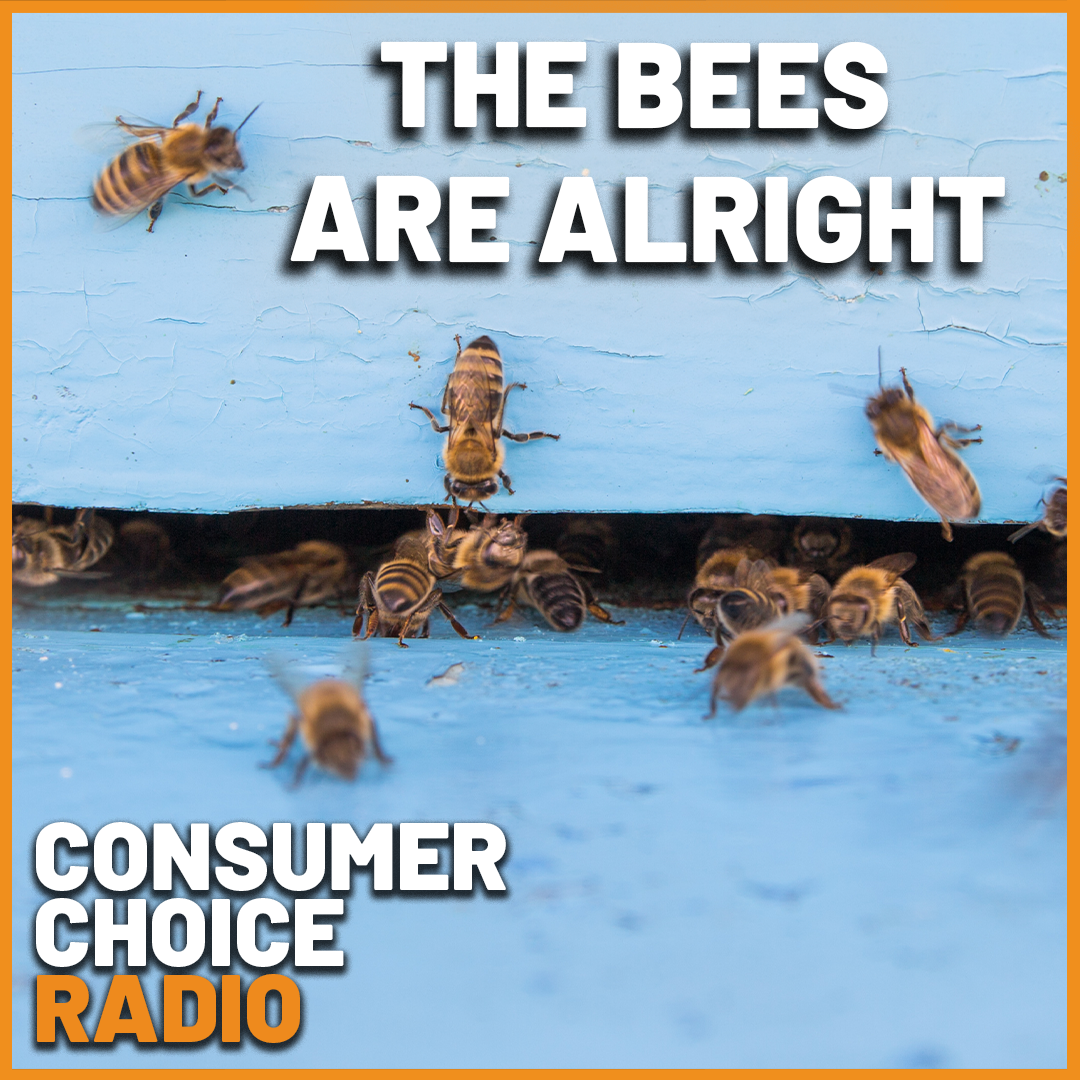 EP127: The Bees Are Alright (w/ Bill Wirtz) episode artwork