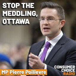 EP80: Canadian MP Pierre Poilievre: Stop the Meddling