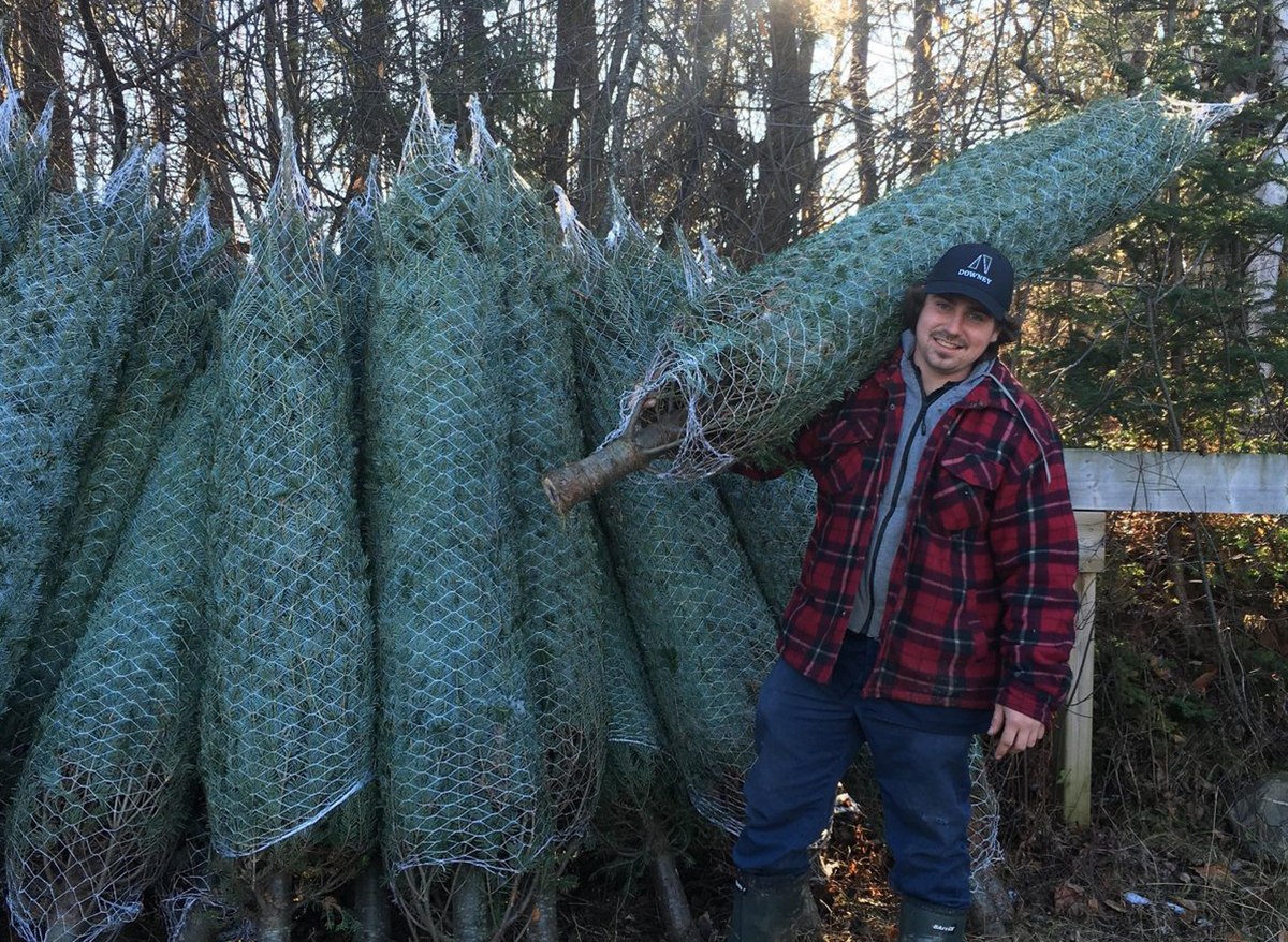 Les producteurs d'arbres de Noël en colère contre Canadian Tire episode artwork