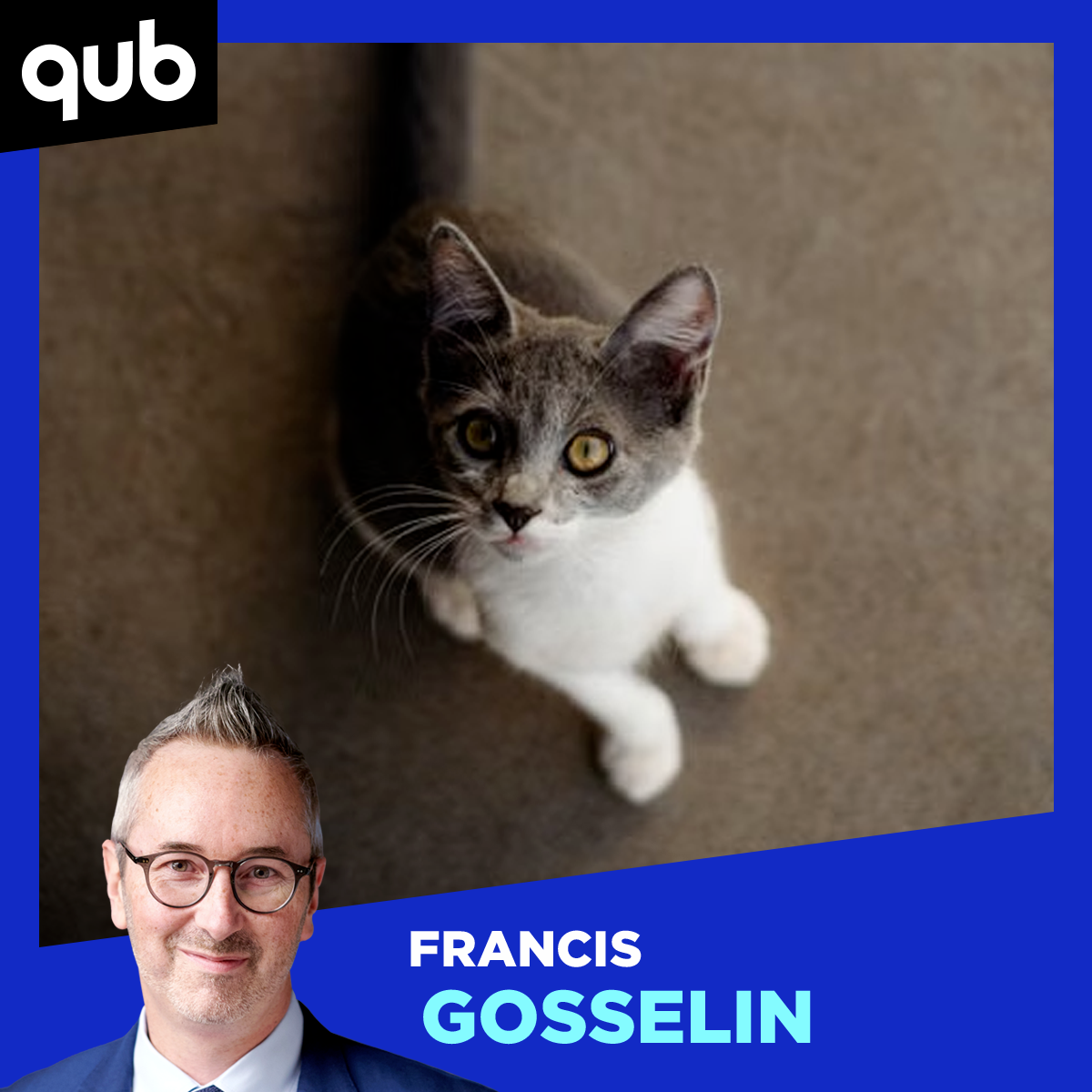 Nos patrons devraient-ils aussi payer une partie des soins de nos animaux? episode artwork