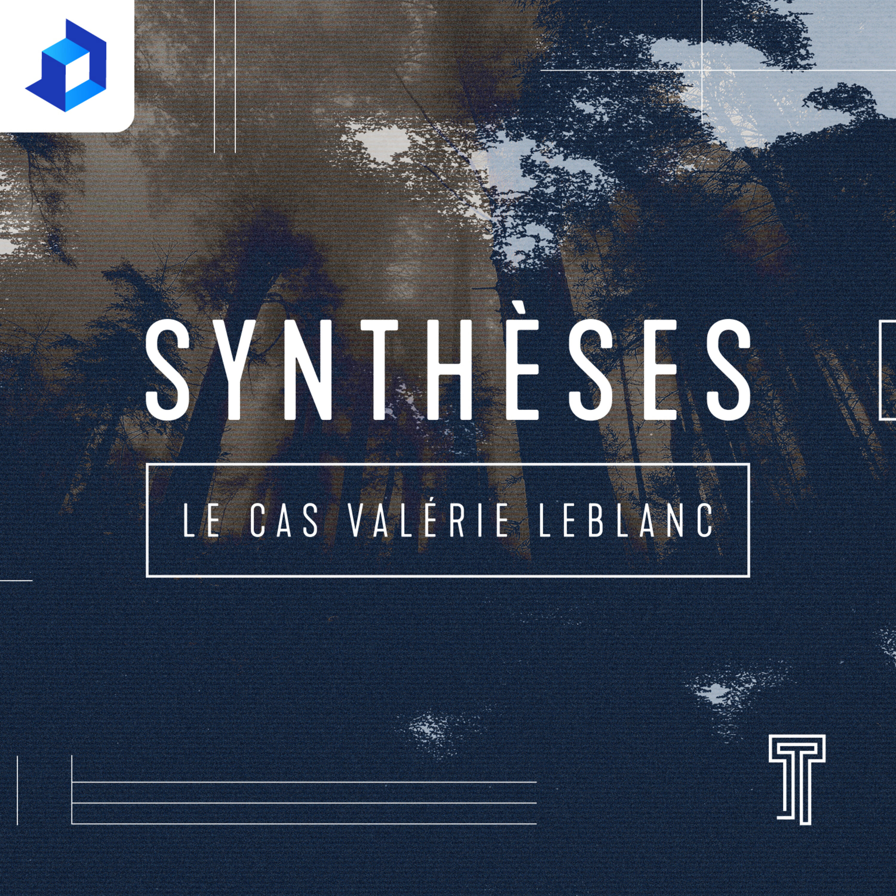 S1Synthèses 1 – Le cas Valérie Leblanc – Bande annonce