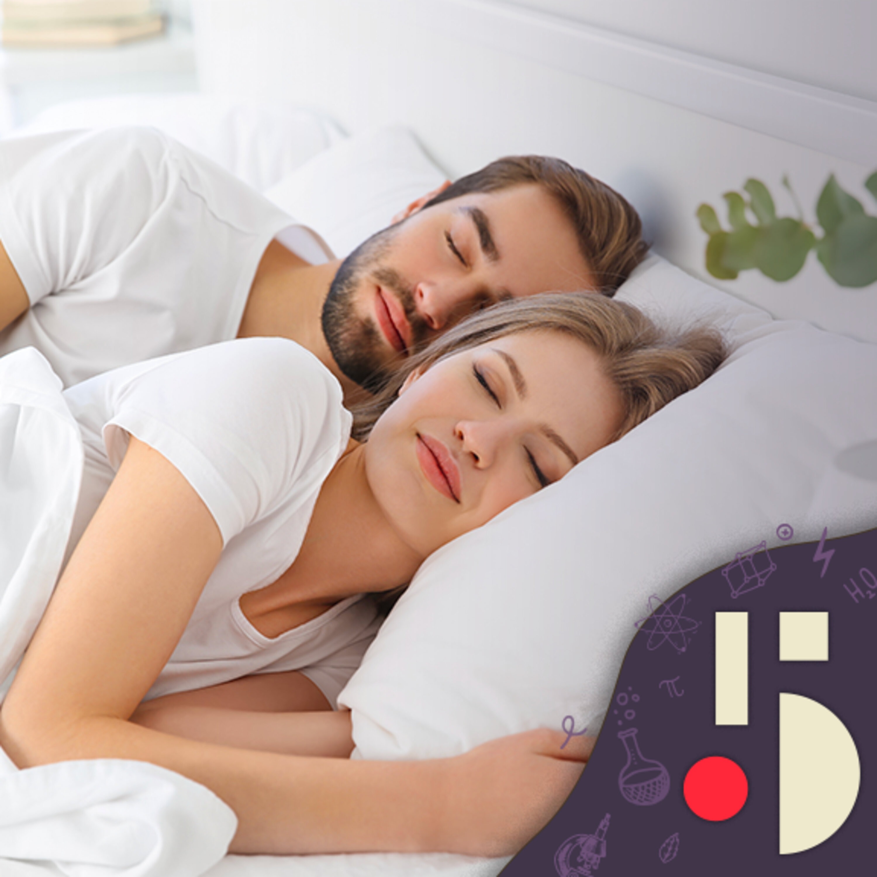Le sommeil, ciment du couple? (EN REDIFFUSION)
