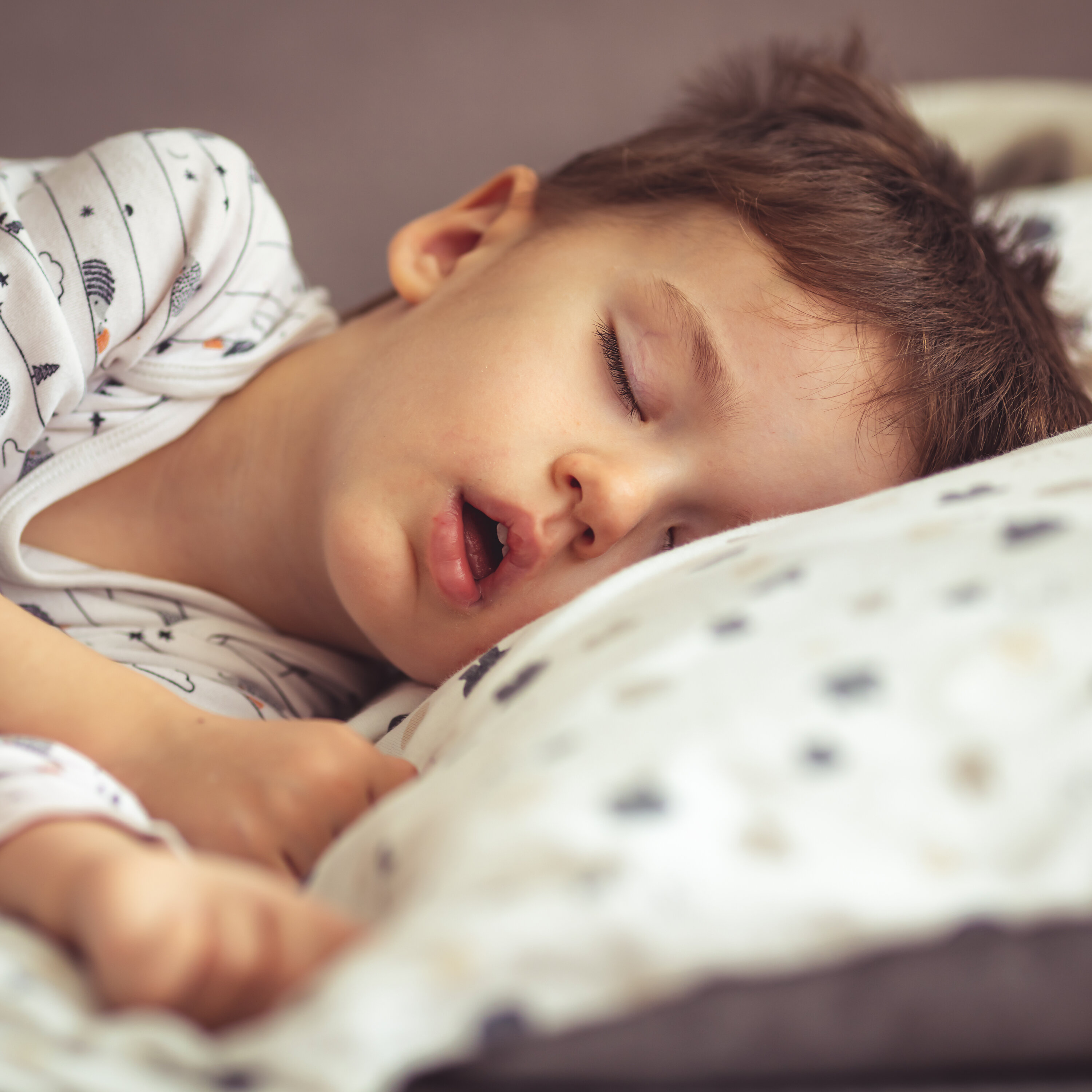 Pourquoi dormir?