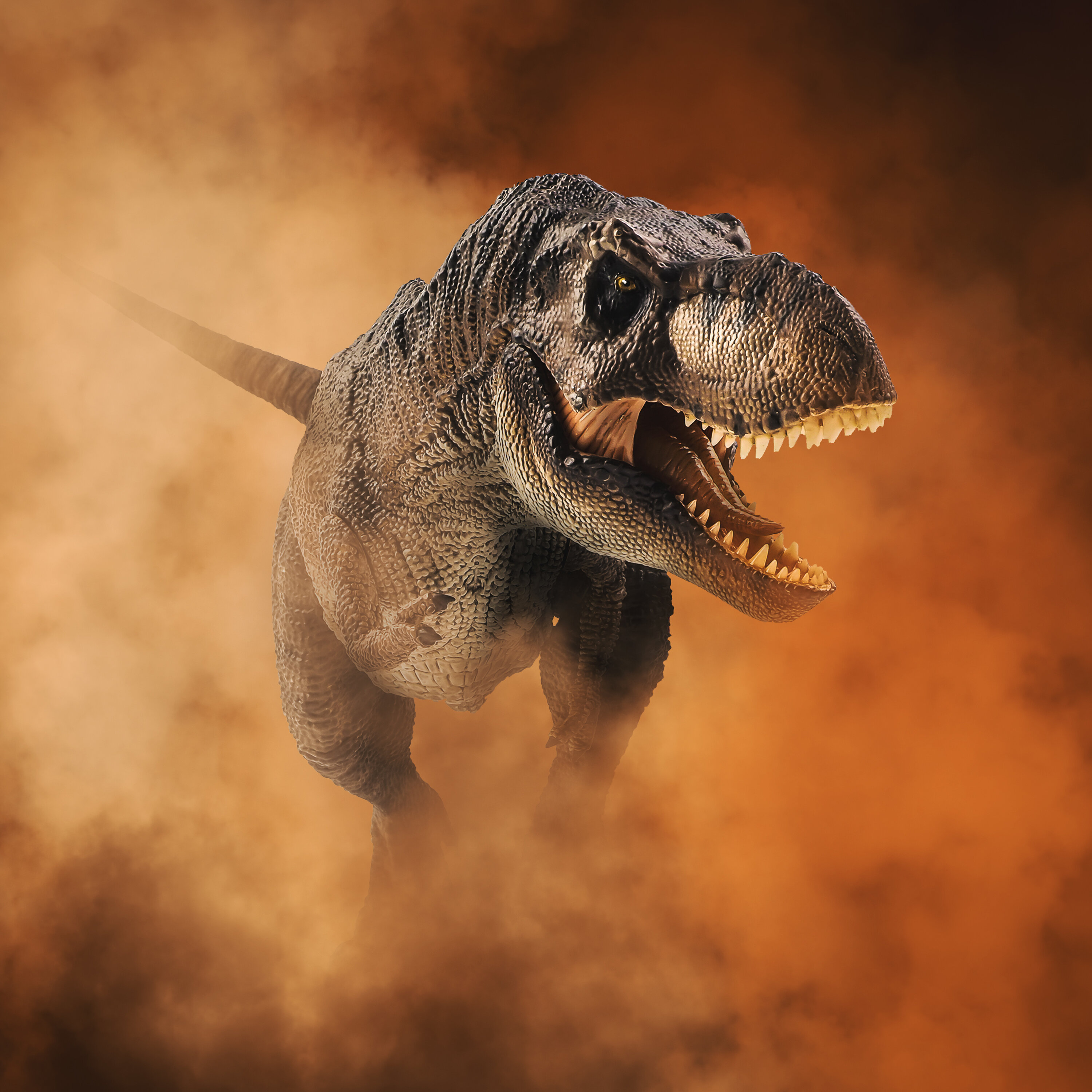 Qui a tué les dinosaures? (en rediffusion)