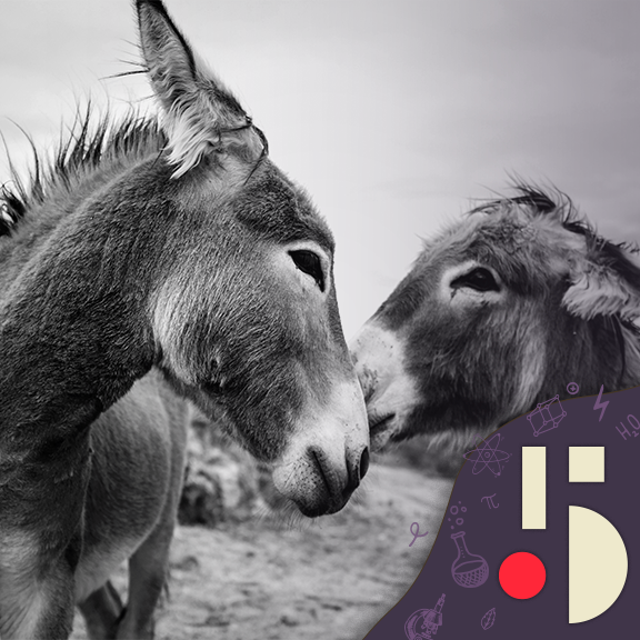 L’âne, influenceur de notre évolution (EN REDIFFUSION)