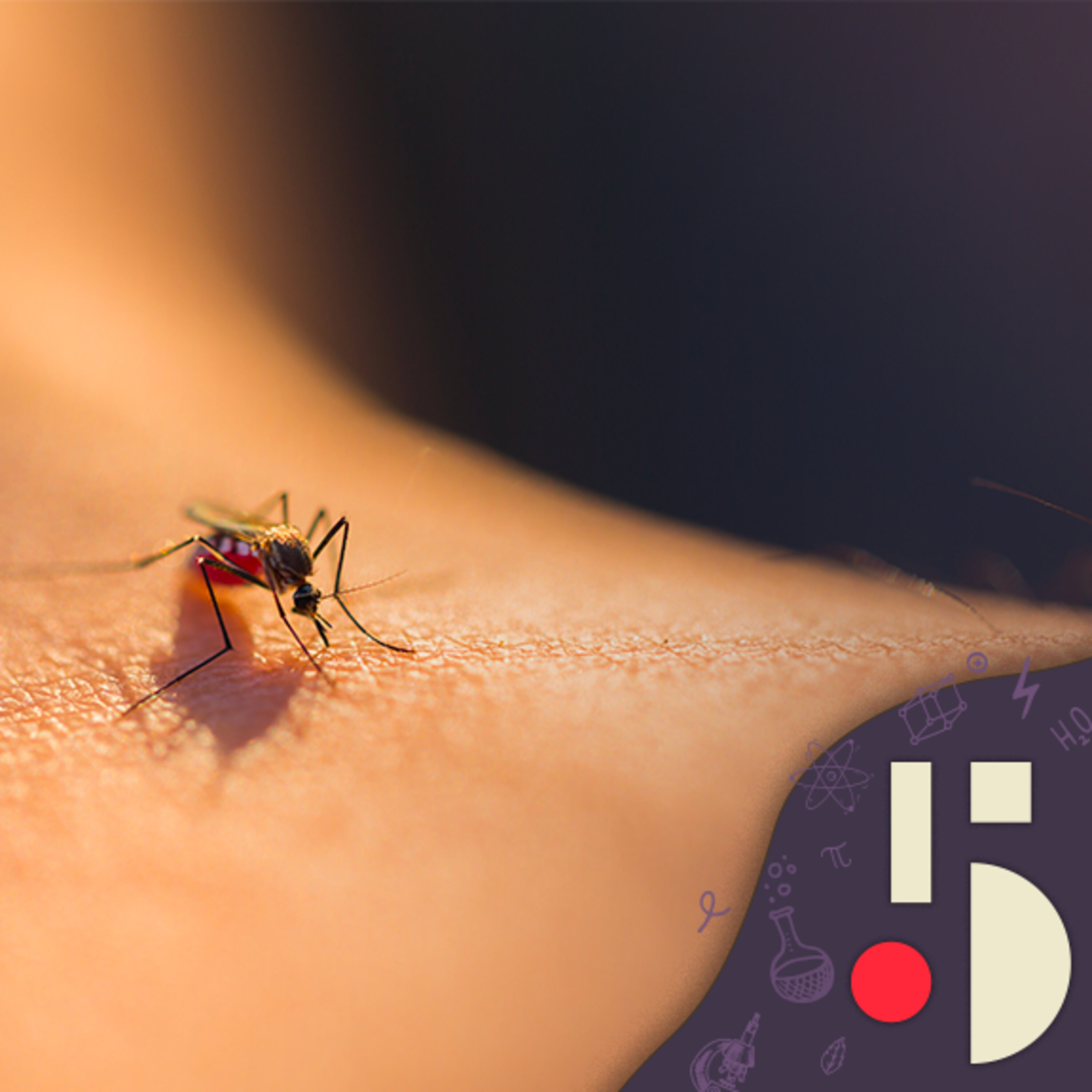 Quel insecte pique le plus fort?