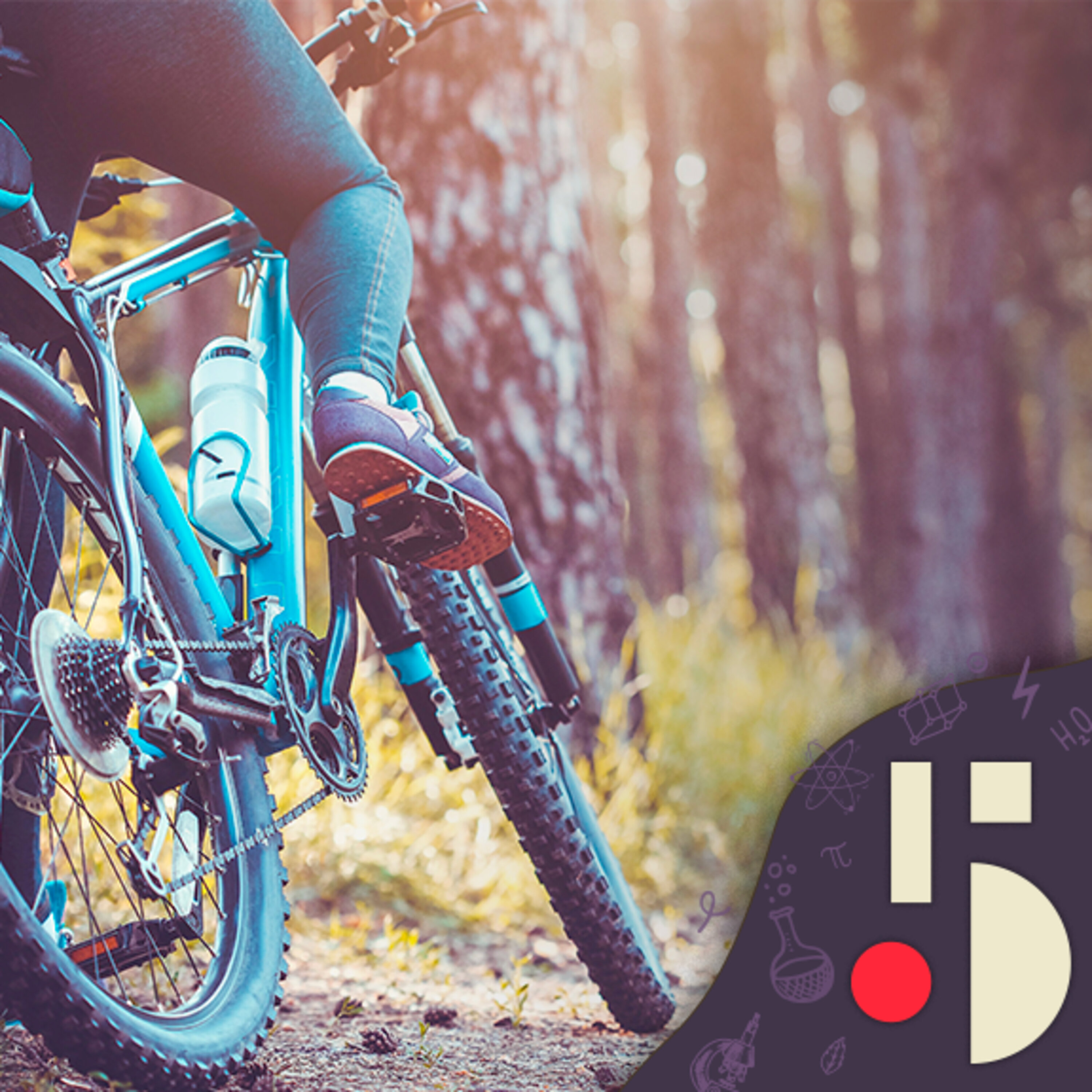 La belle histoire du vélo au Québec