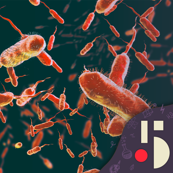 Le choléra, maladie catastrophique (EN REDIFFUSION)