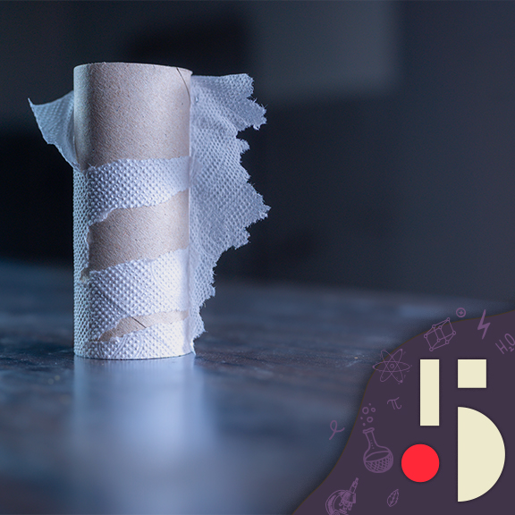 La très courte histoire du papier hygiénique (EN REDIFFUSION)