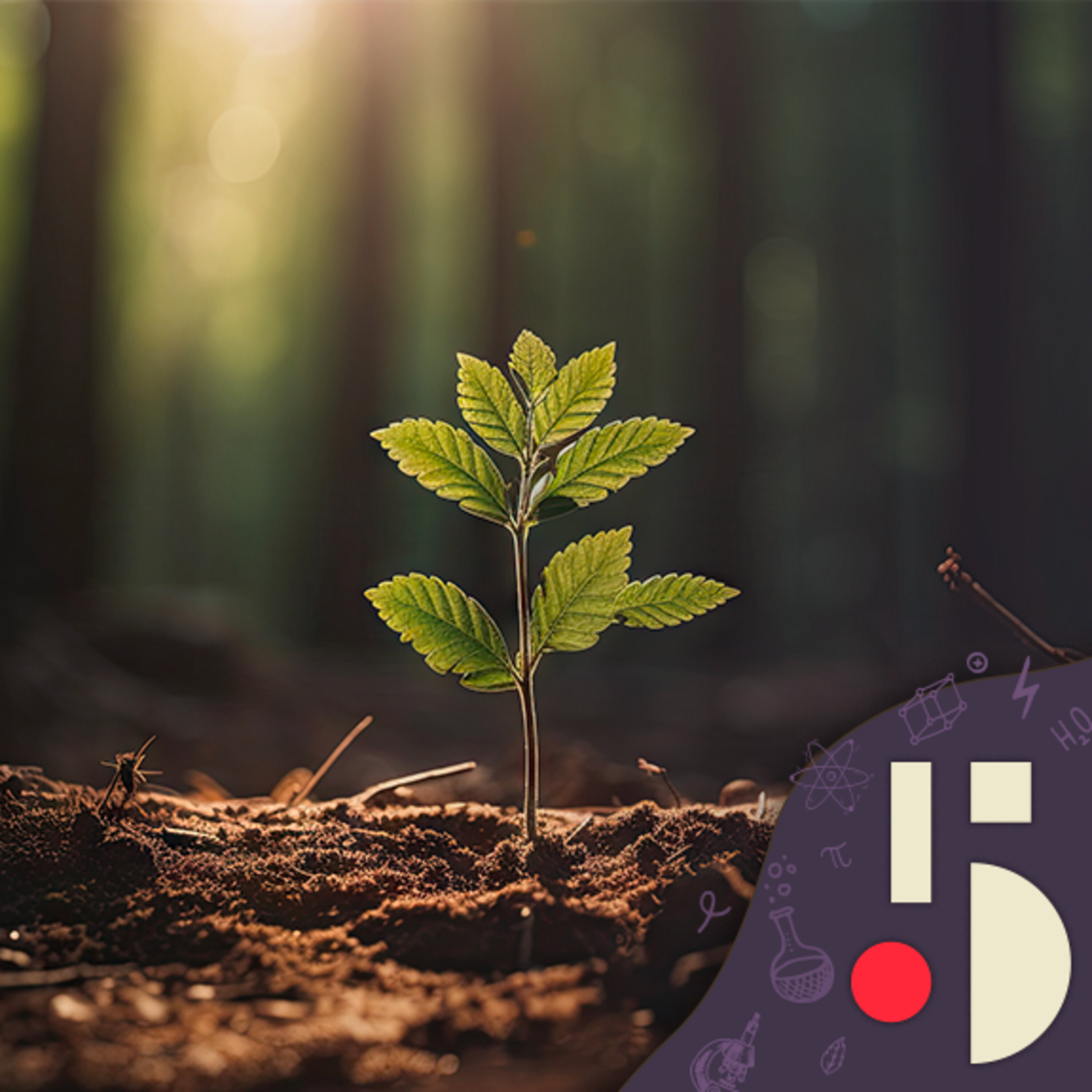 Les plantes ressentent-elles la douleur?