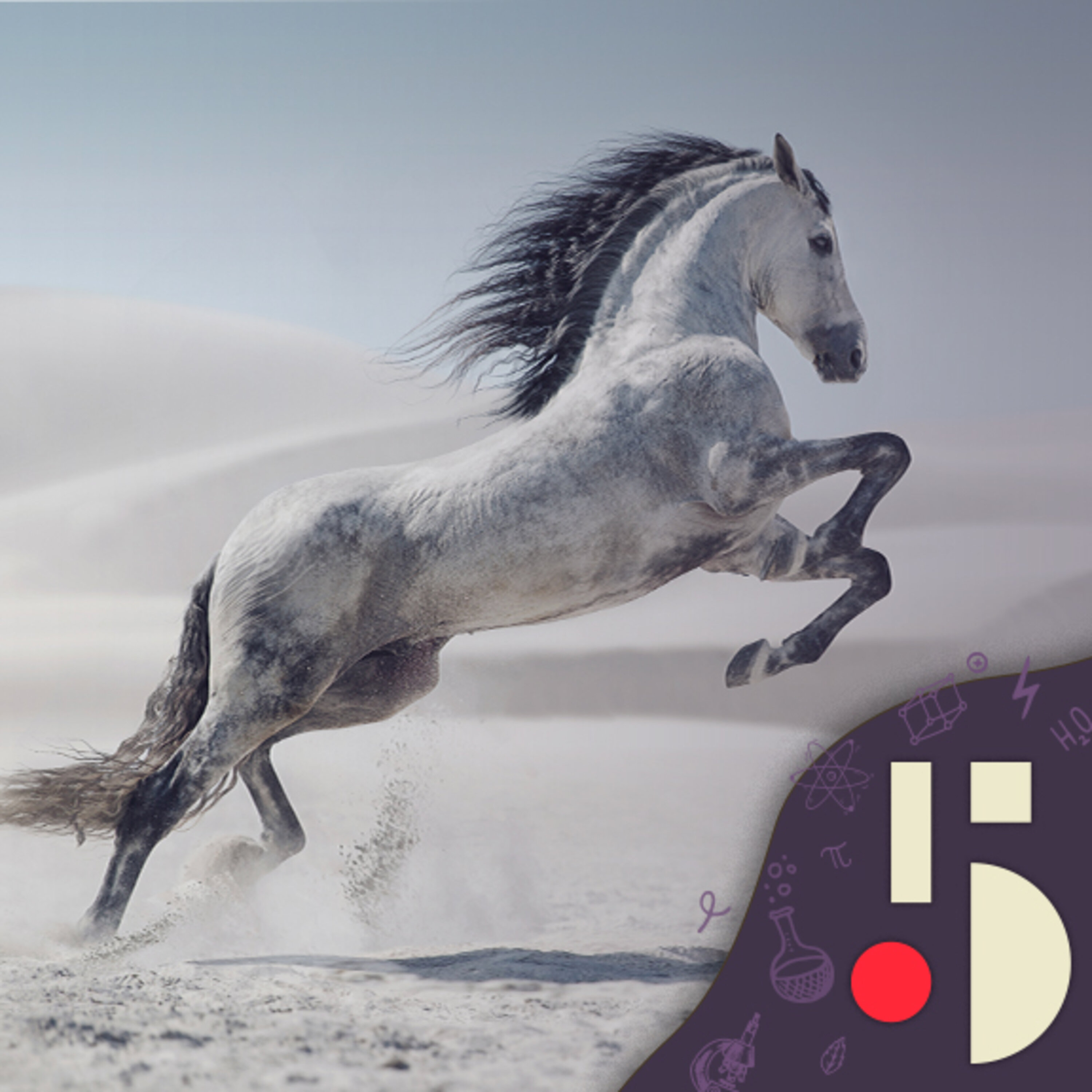 Les derniers chevaux sauvages (EN REDIFFUSION)