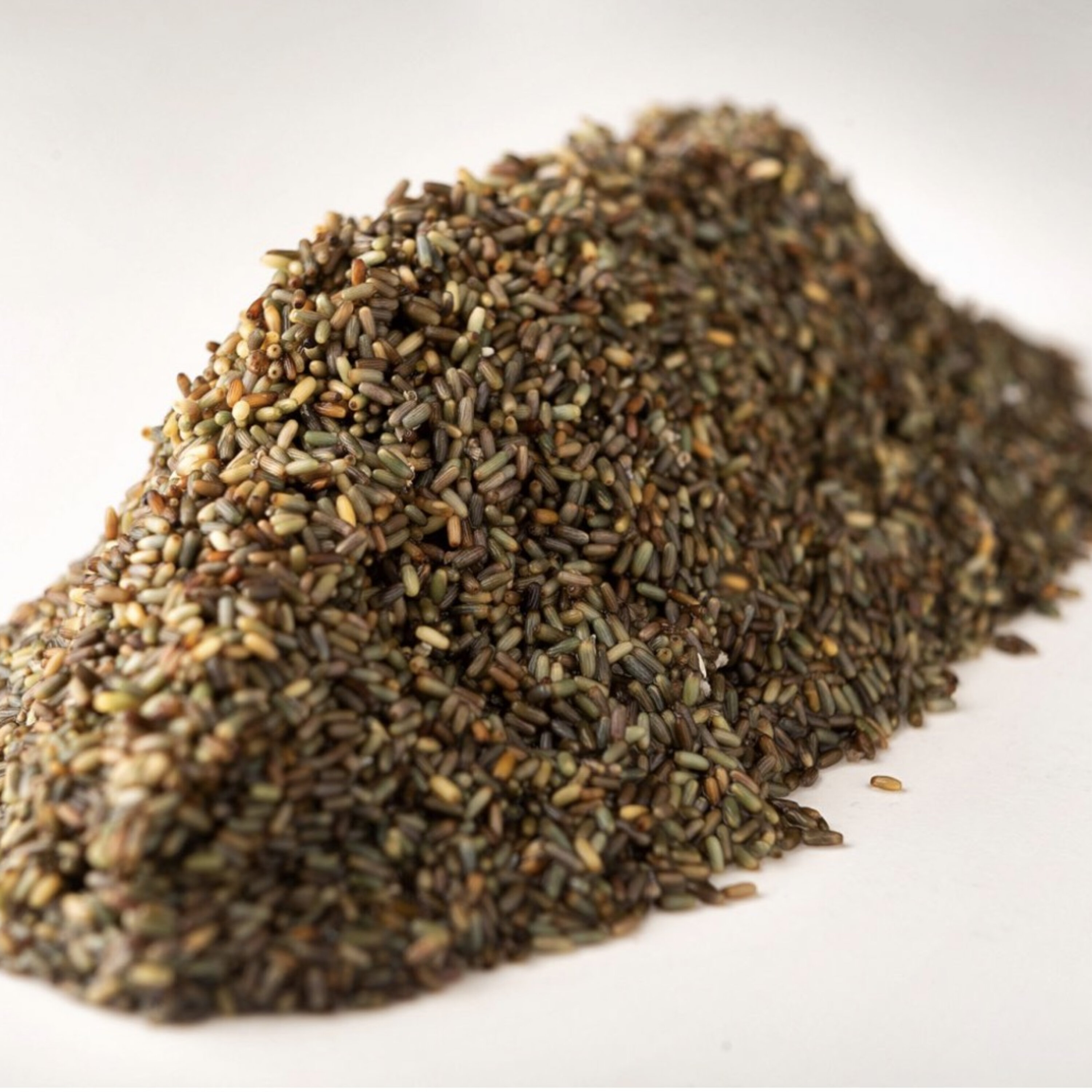 Le riz de mer: bio, bon et pas cher