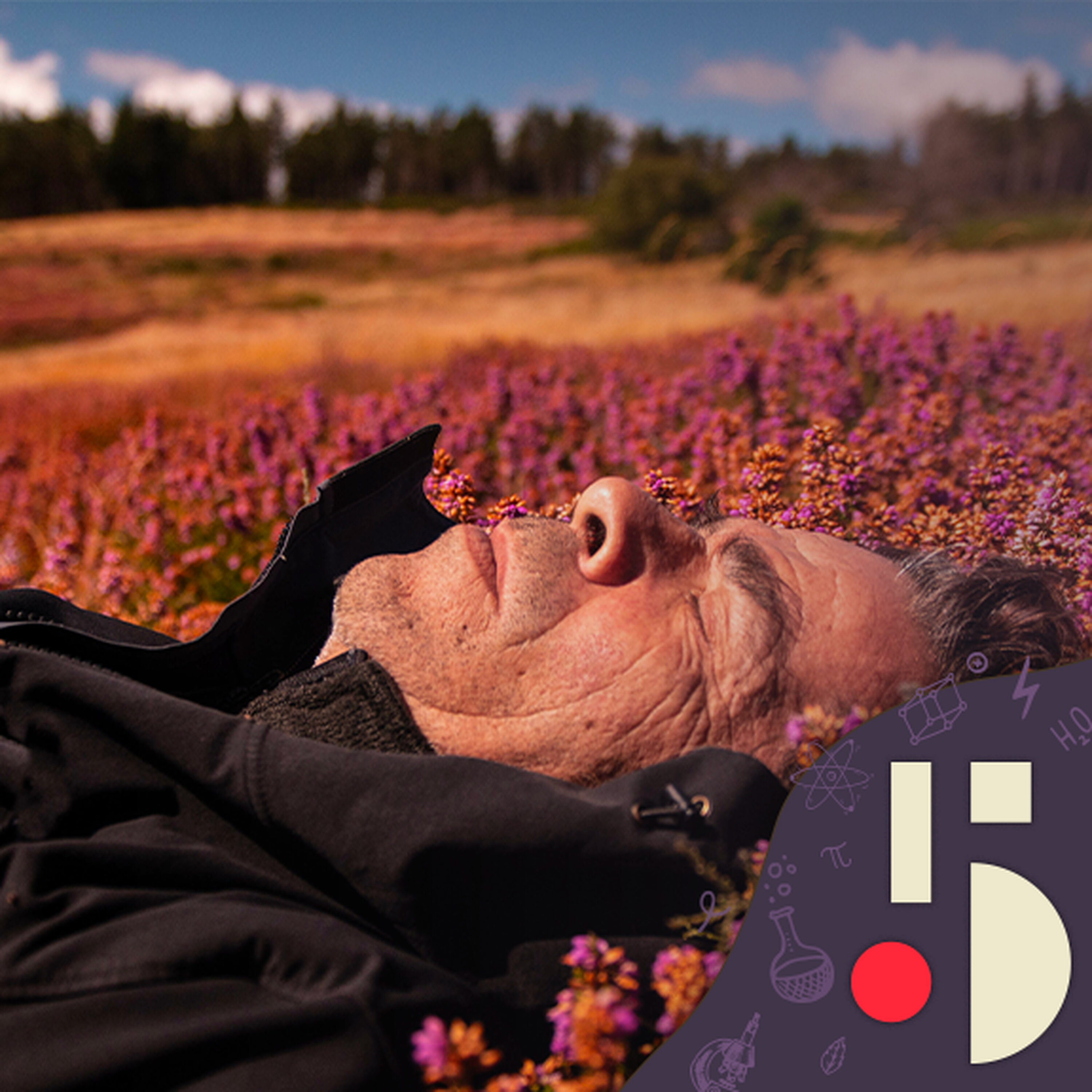 La sieste, souhaitable ou pas? (EN REDIFFUSION)
