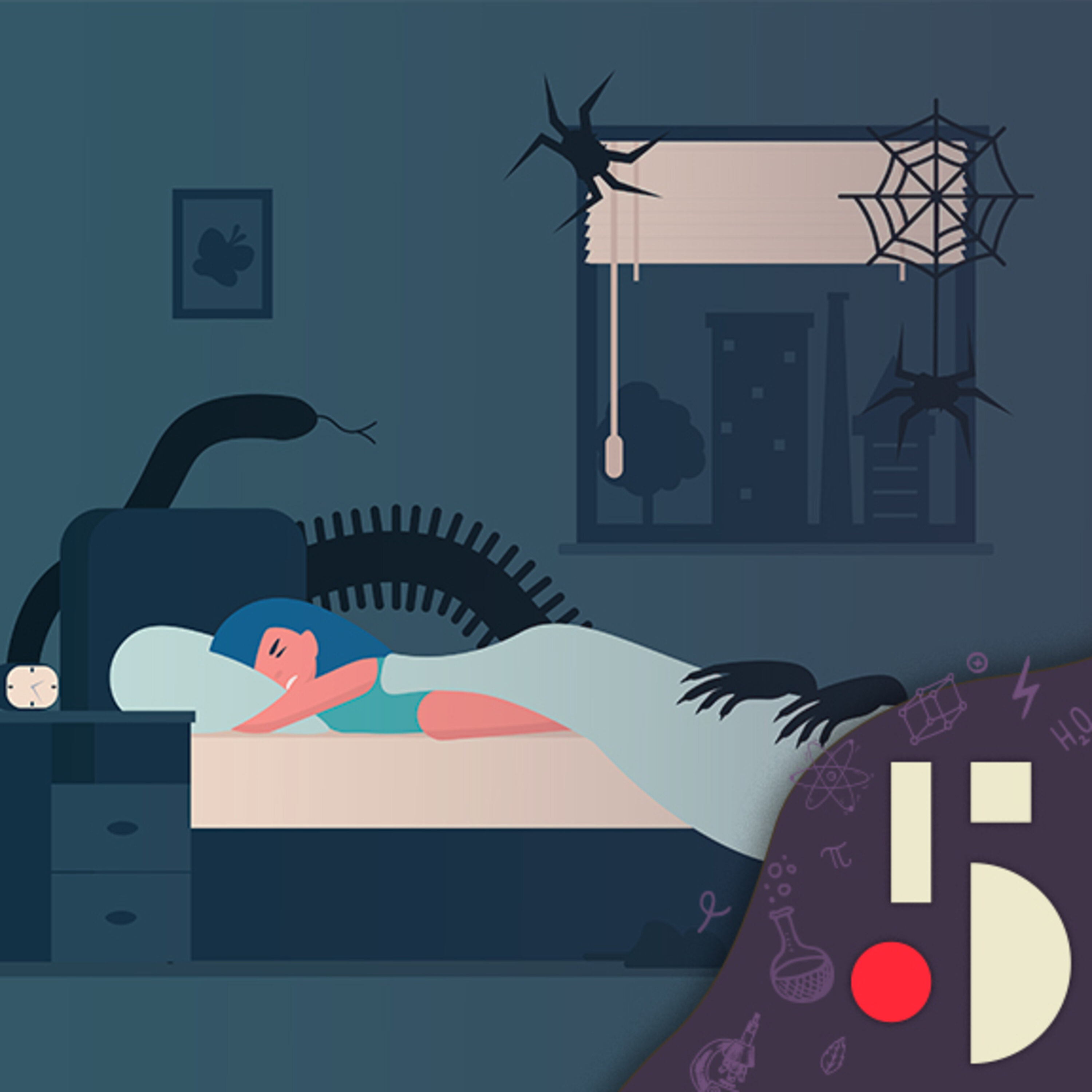 Combien mange-t-on d'araignées durant notre sommeil?