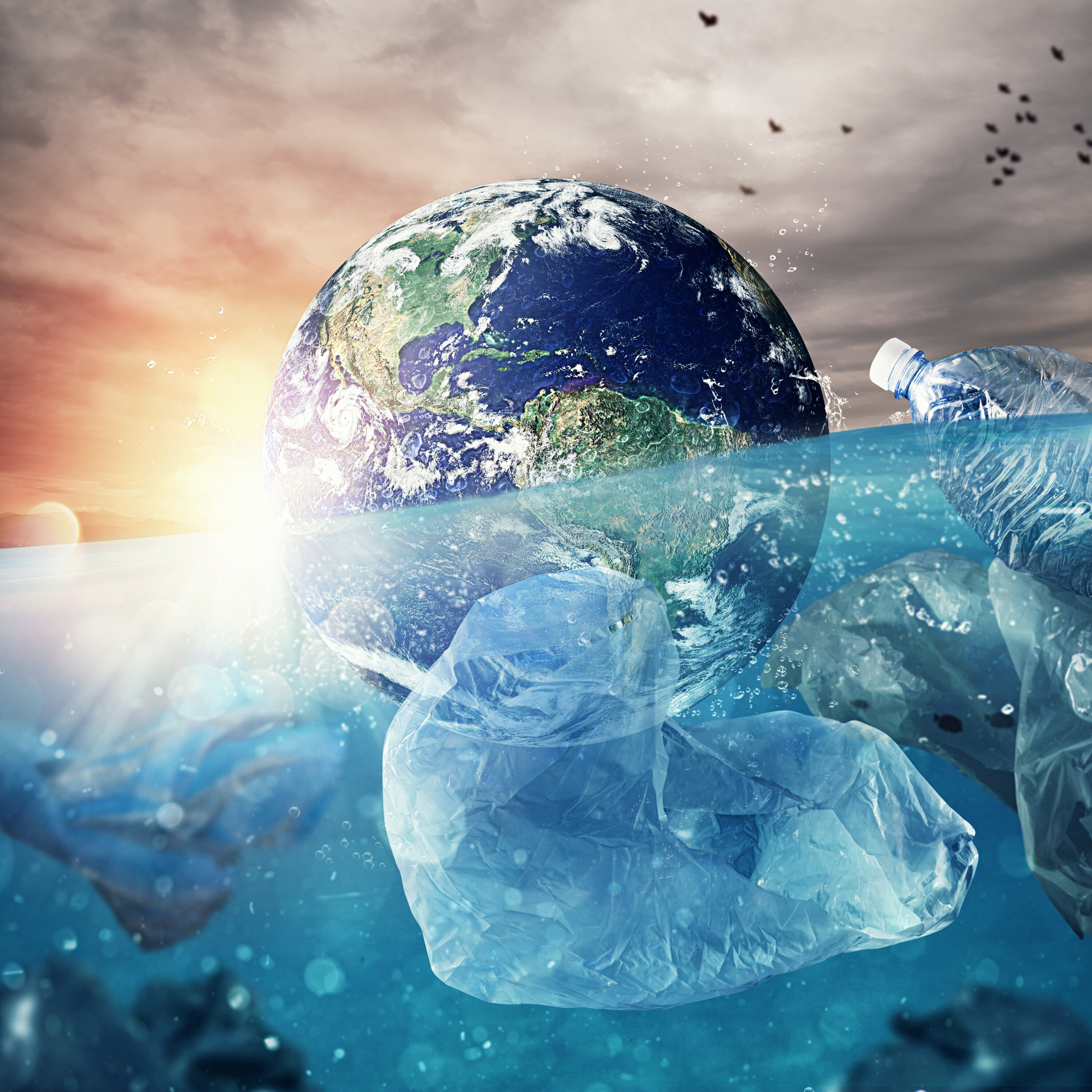 La vie marine colonise le plastique (EN REDIFFUSION)
