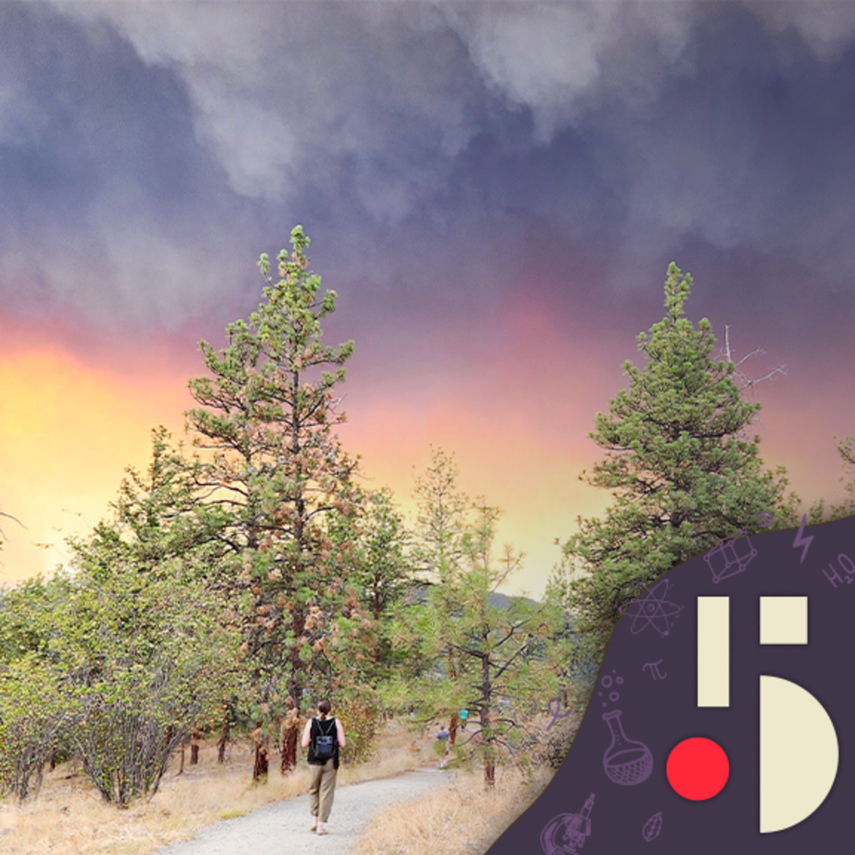 Les feux de forêts modifient le climat