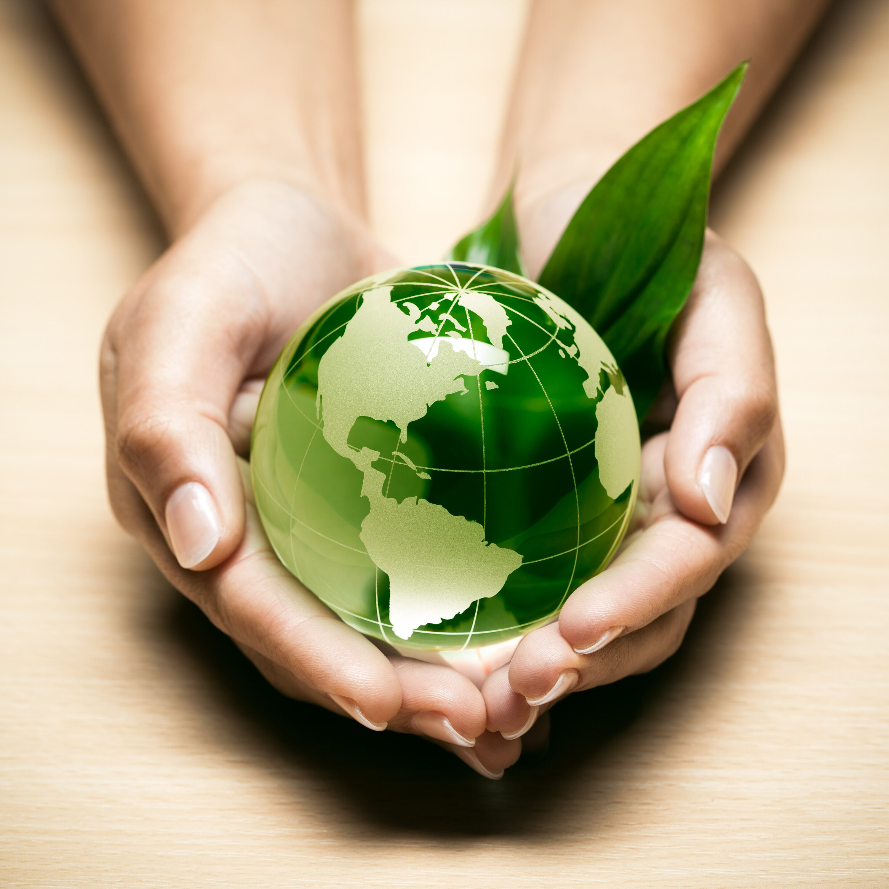 Compostable, carboneutre, biodégradable. Attention tout n'est pas vert! (EN REDIFFUSION)