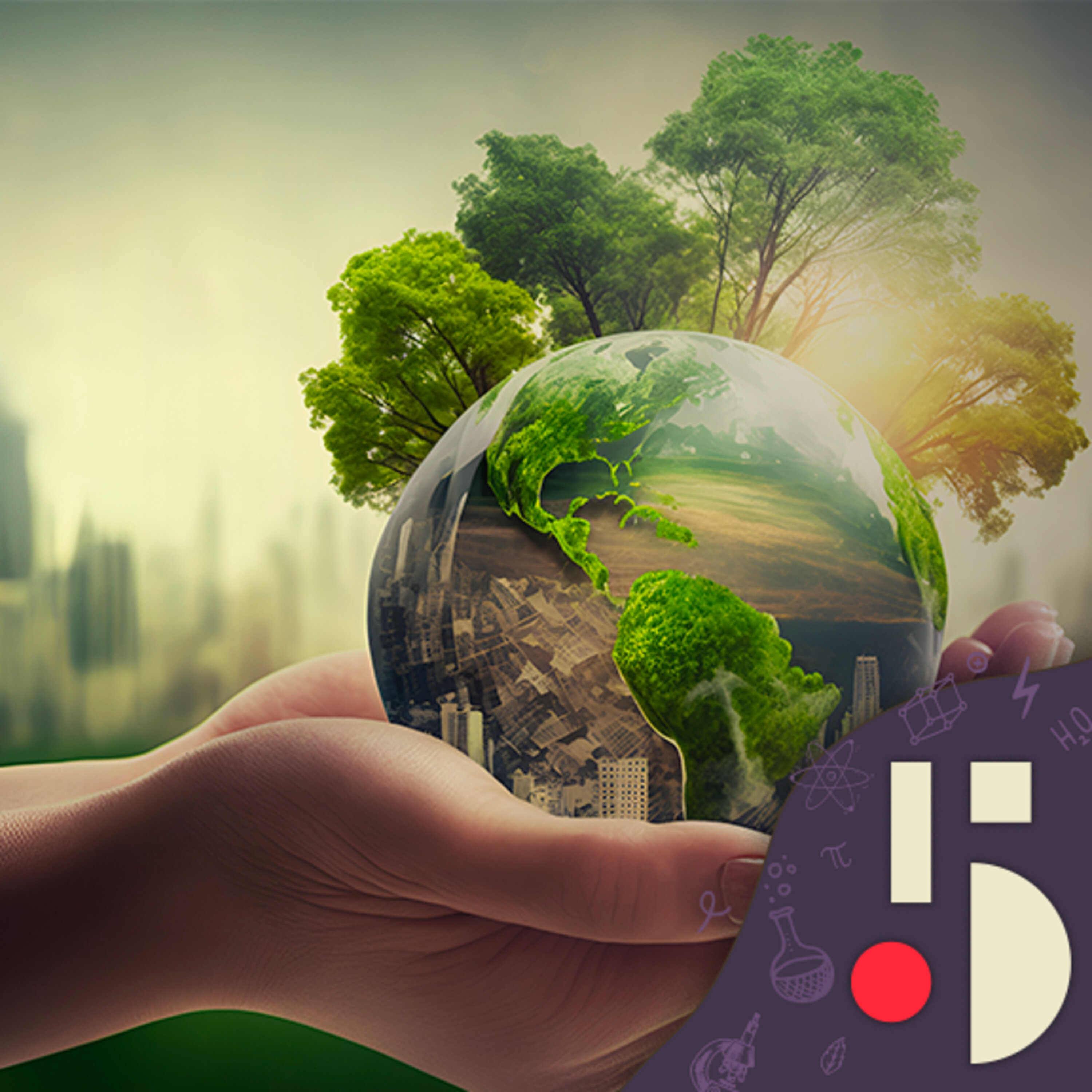 L'impact sous-estimé des villes sur la biodiversité (EN REDIFFUSION)
