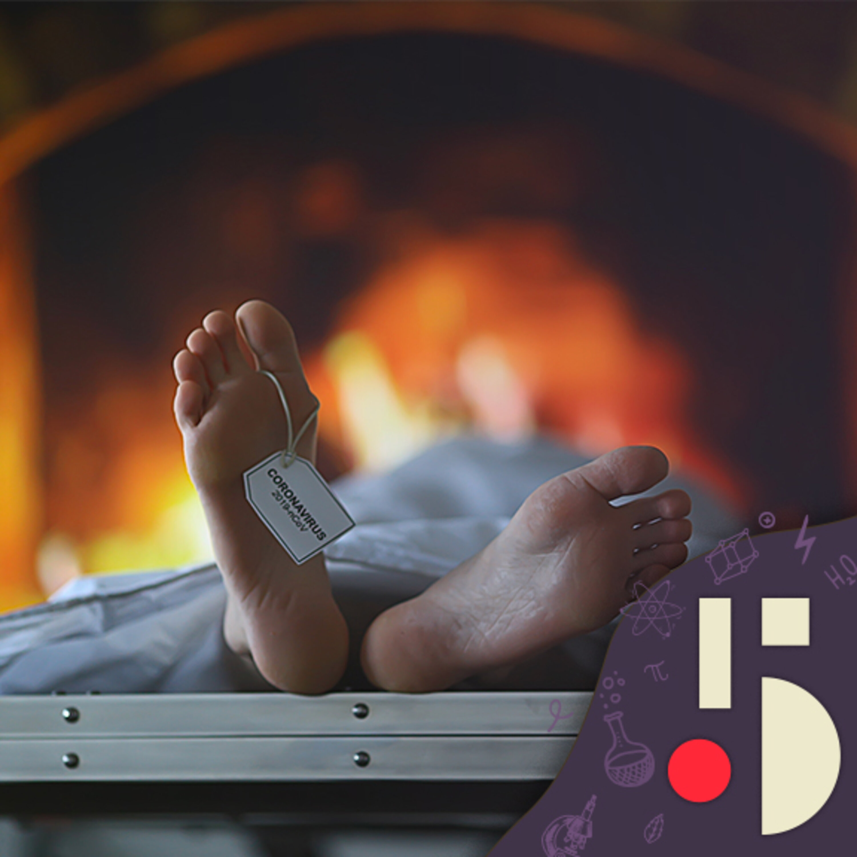 Composter nos morts, pourquoi pas? (EN REDIFFUSION)