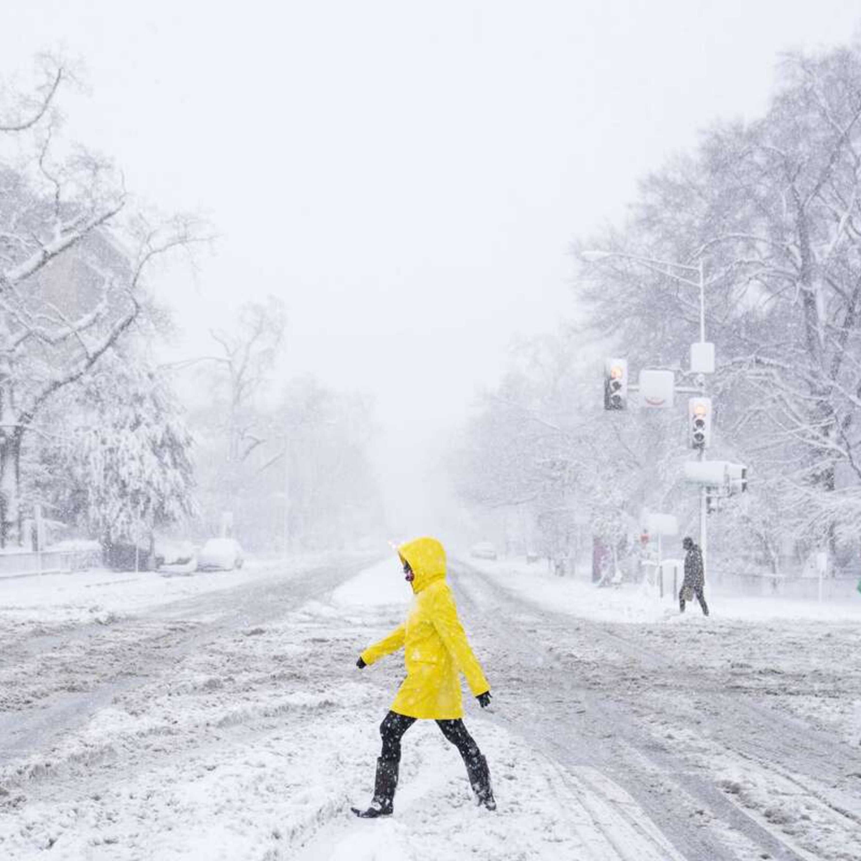 Les grands froids, symptômes du grand réchauffement