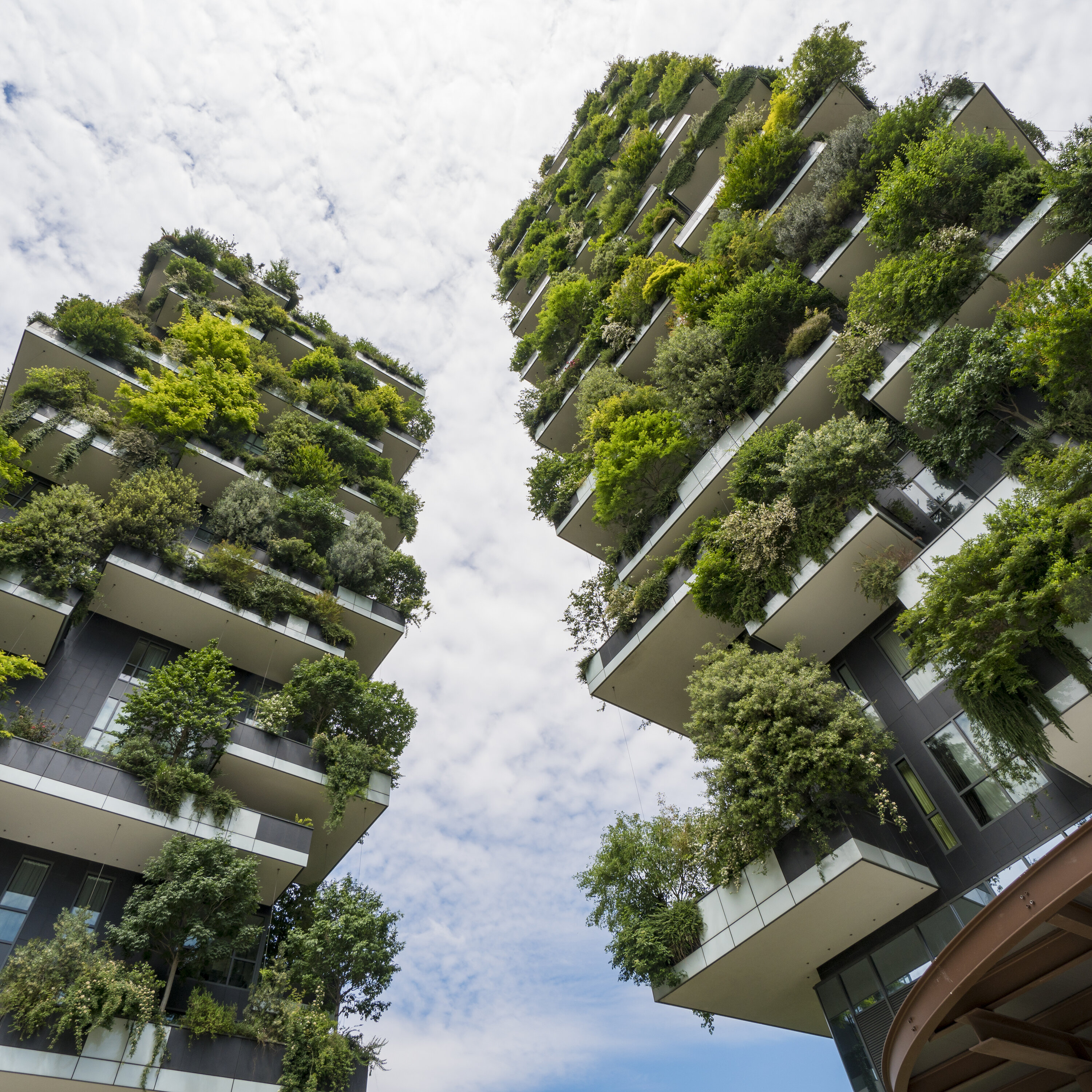 Bientôt des forêts verticales?
