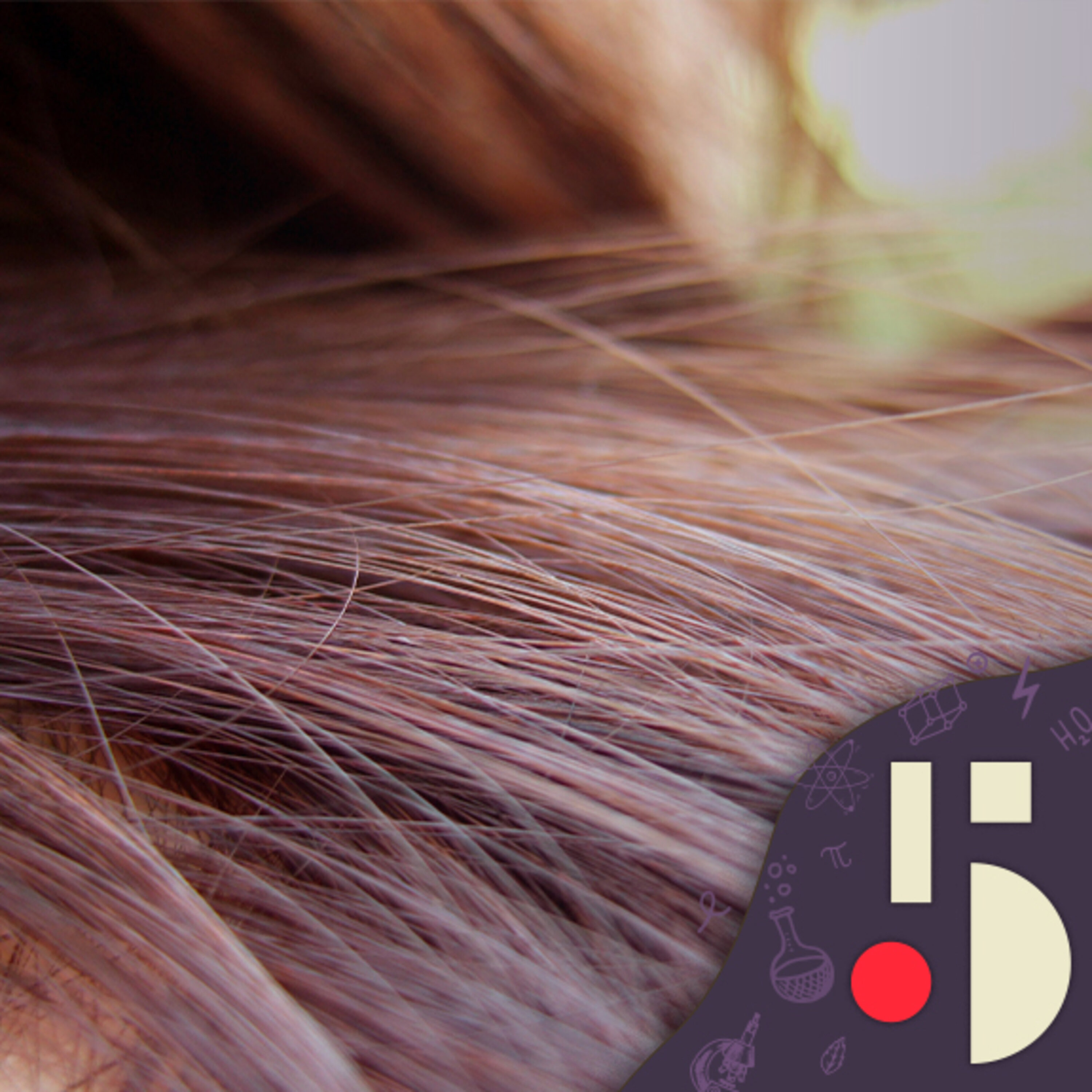 Pourquoi certains cheveux frisent et d'autres pas?