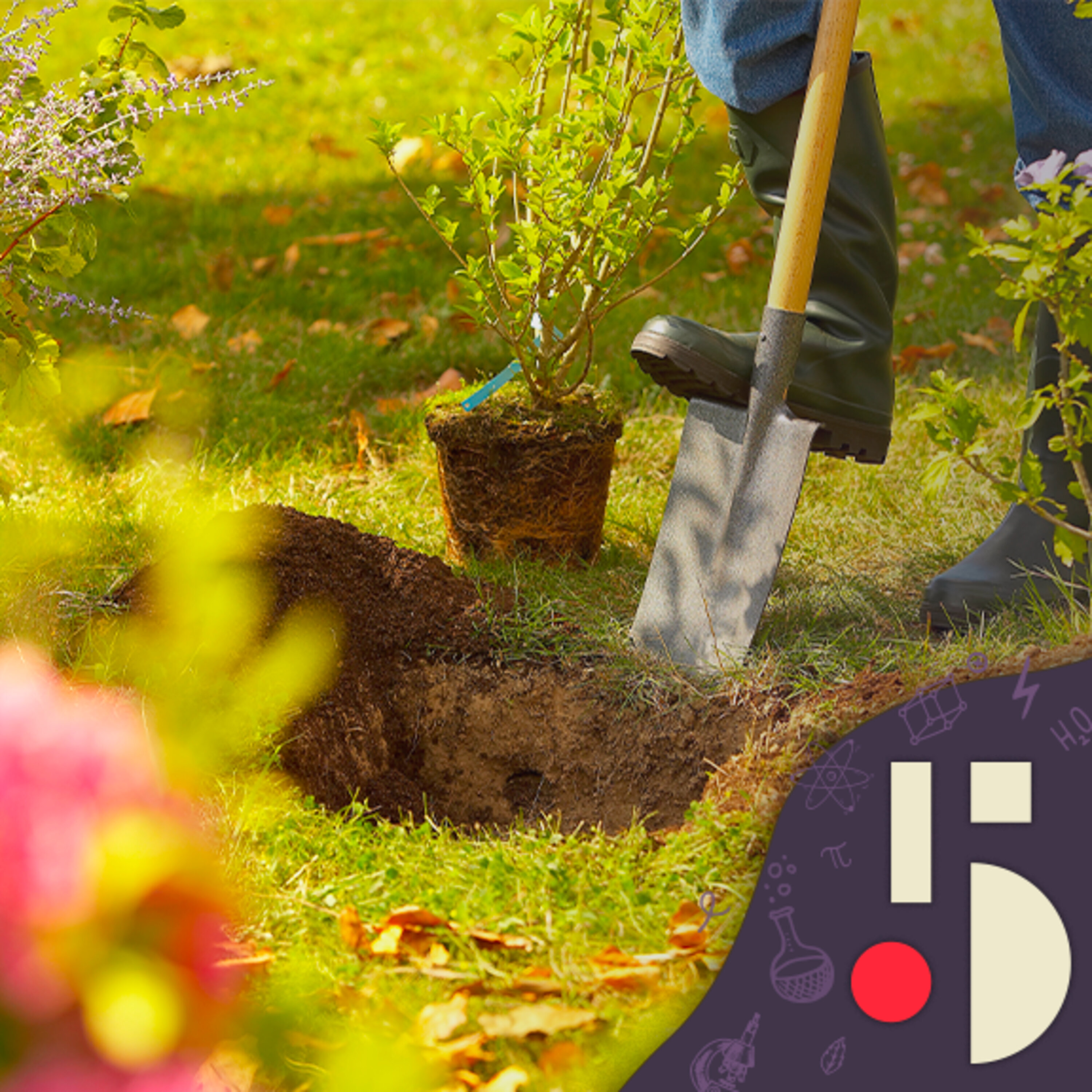 Arbres d'ici, les solutions d'un horticulteur pour épargner le climat