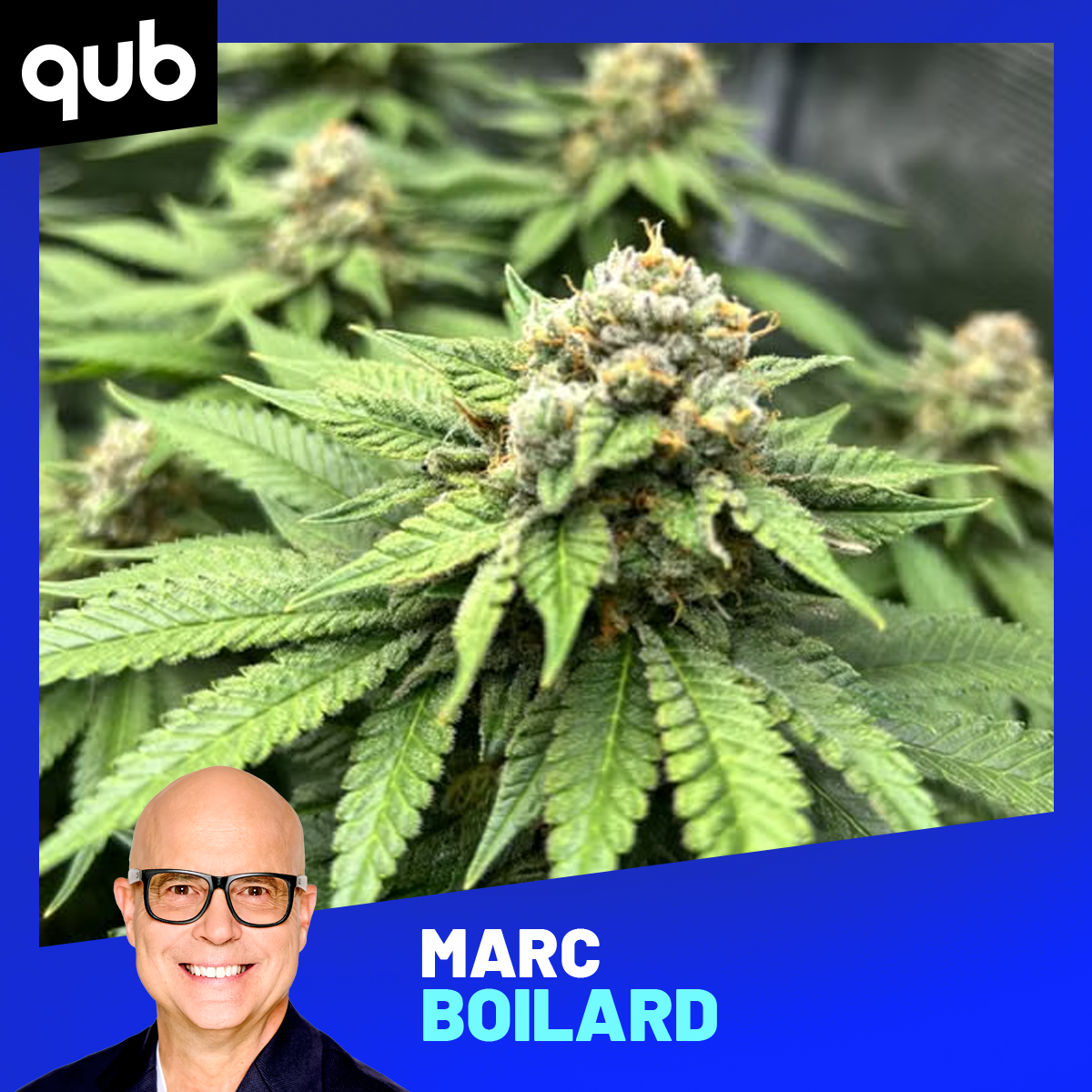 «Marc Boilard, fumes-tu du pot?» episode artwork
