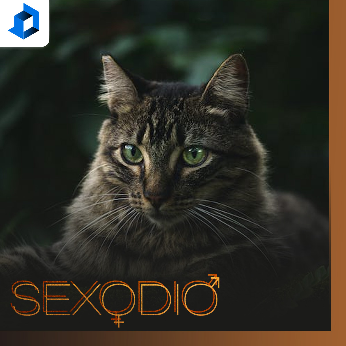 Sexodio