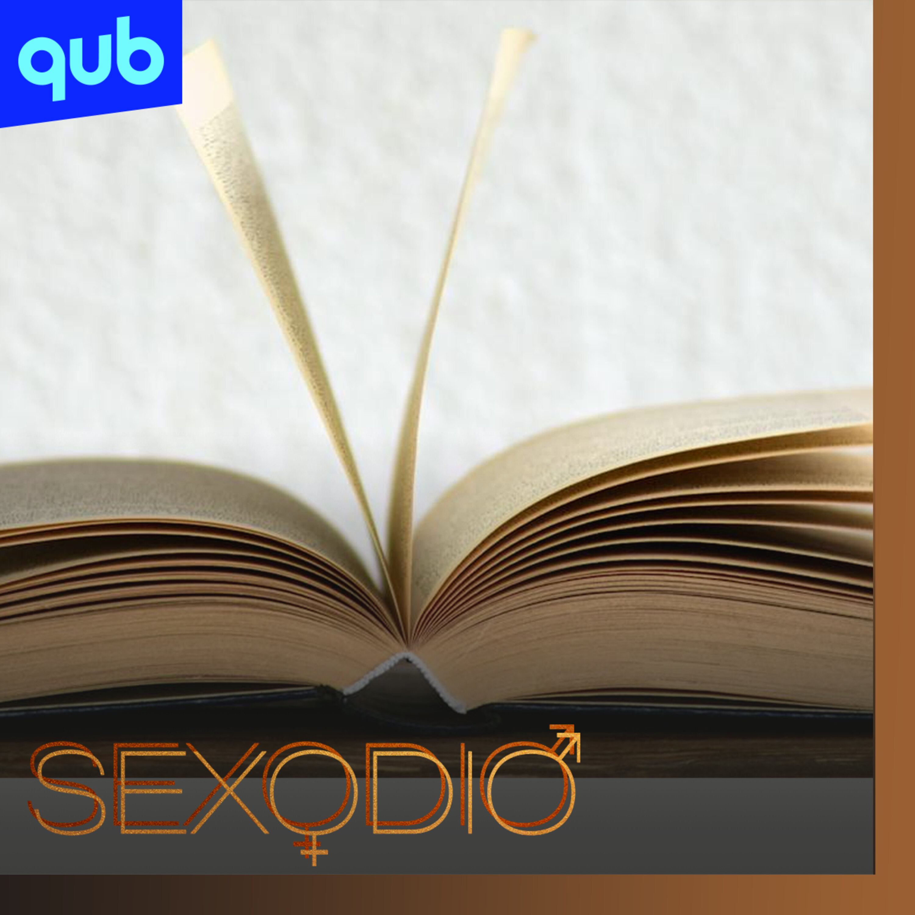 «Les mots du Q» : les expressions sexuelles revisitées