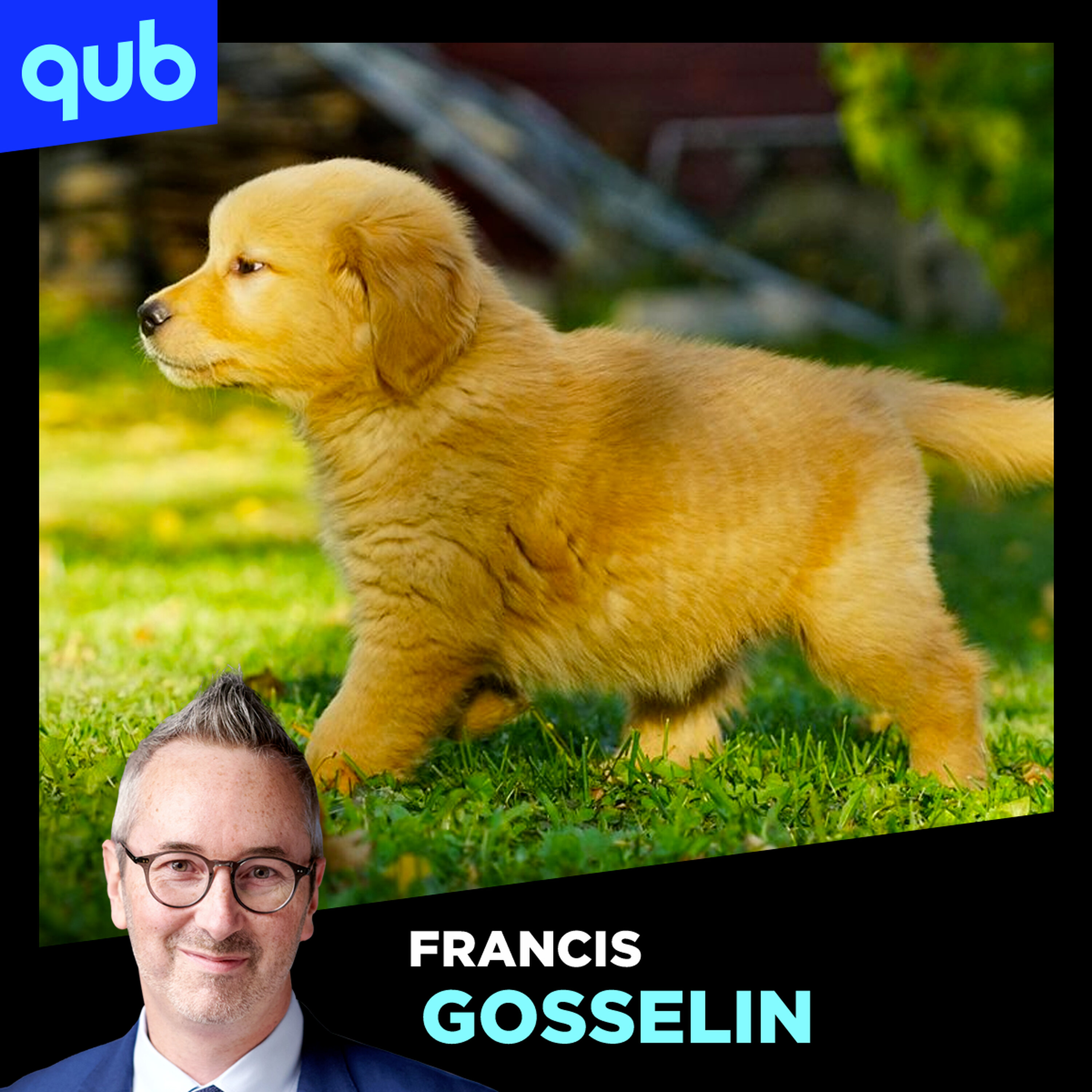 «35.000$, long processus…»: comment se passe l’entrainement d’un chien d’assistance?