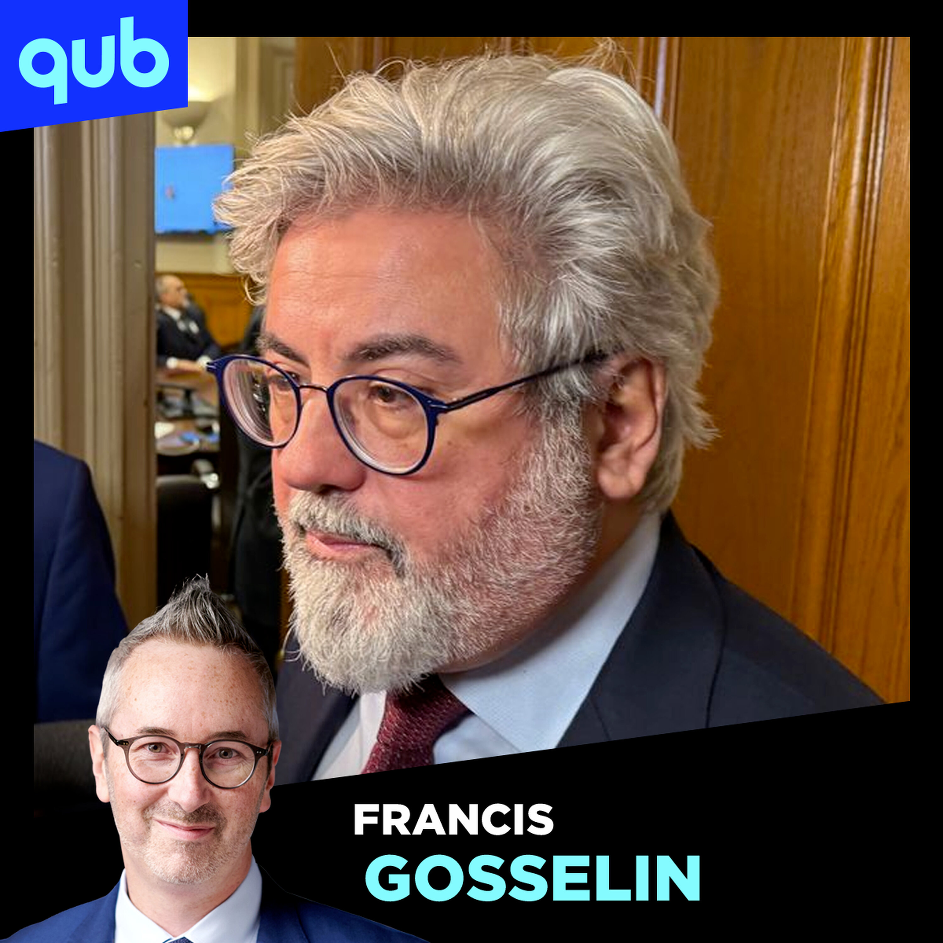 La commission jeunesse du PLQ refuse de soutenir Pablo Rodriguez