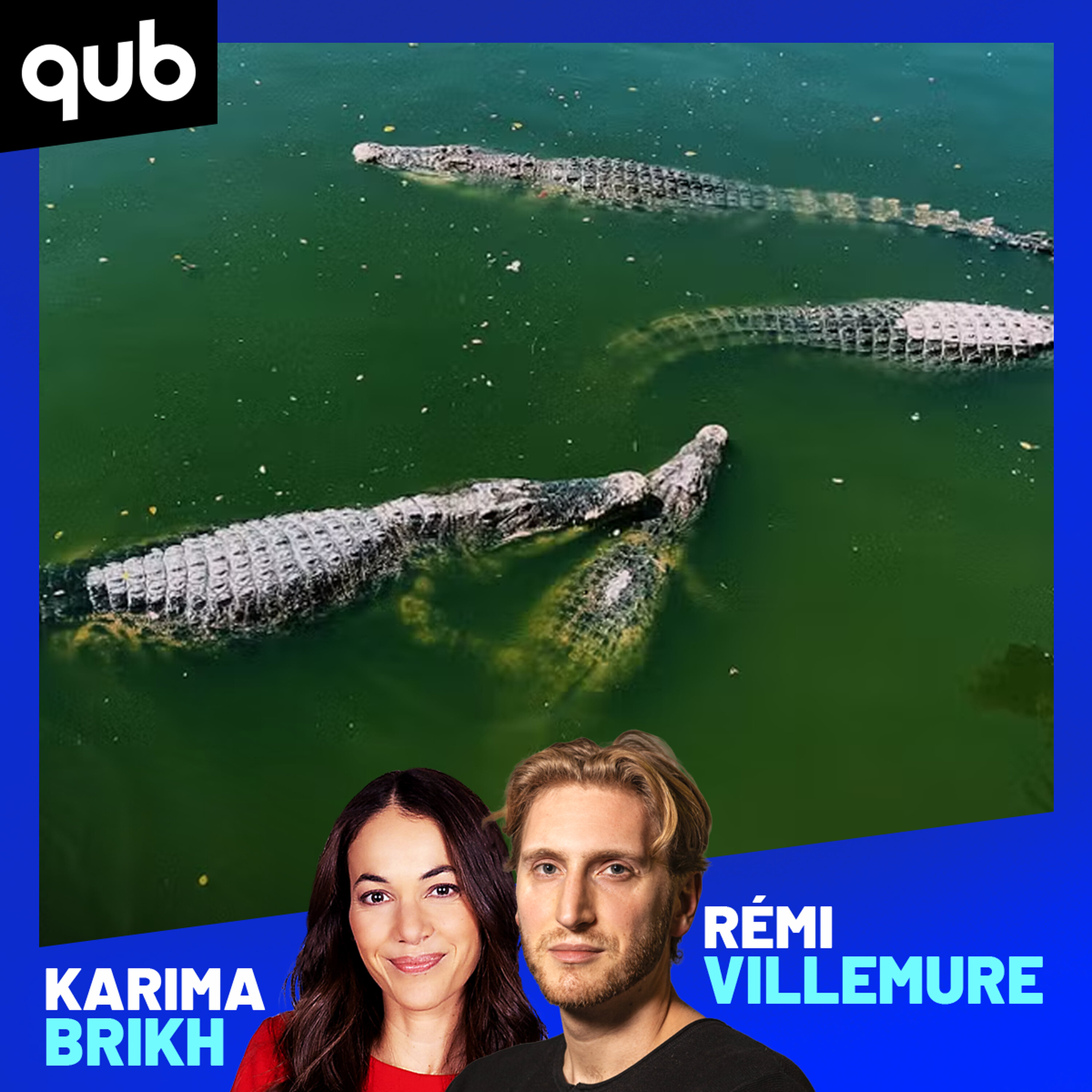 Un enfant se fait pousser dans un enclos de crocodiles et… une entreprise en rit! episode artwork