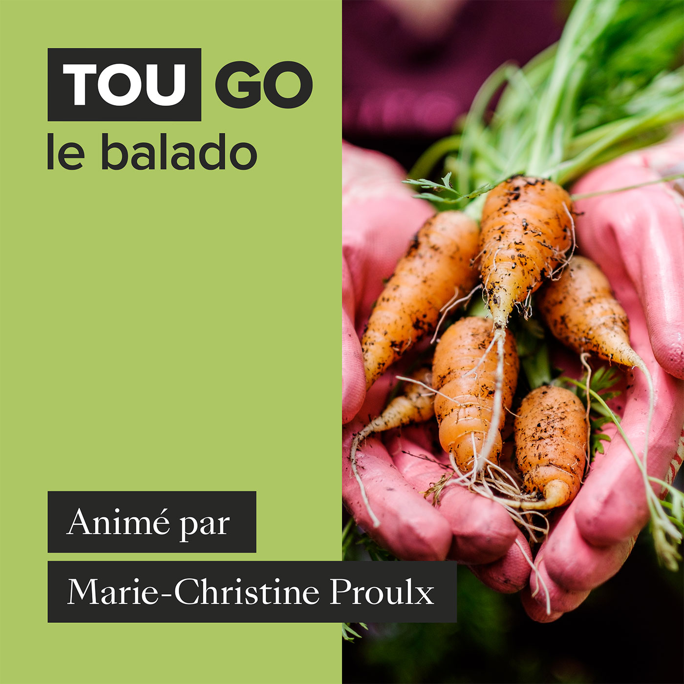 L’alimentation biologique