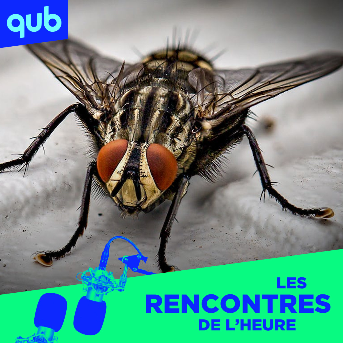 «Le gouvernement a tué une mouche avec un bazooka», lance Emmanuelle Latraverse