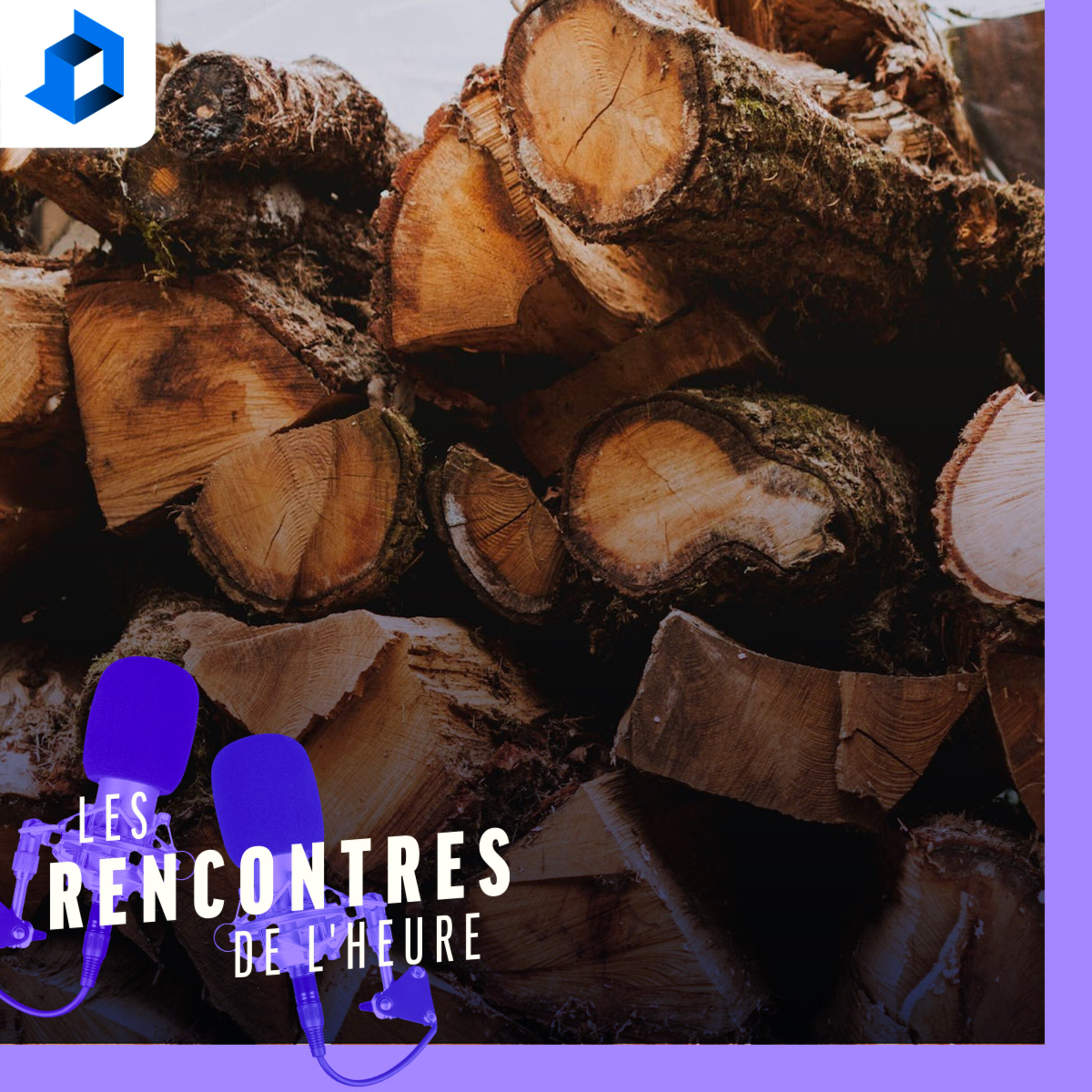 «Il y a vraiment une opération d’arnaquage au niveau du bois de chauffage», dit Yves Daoust