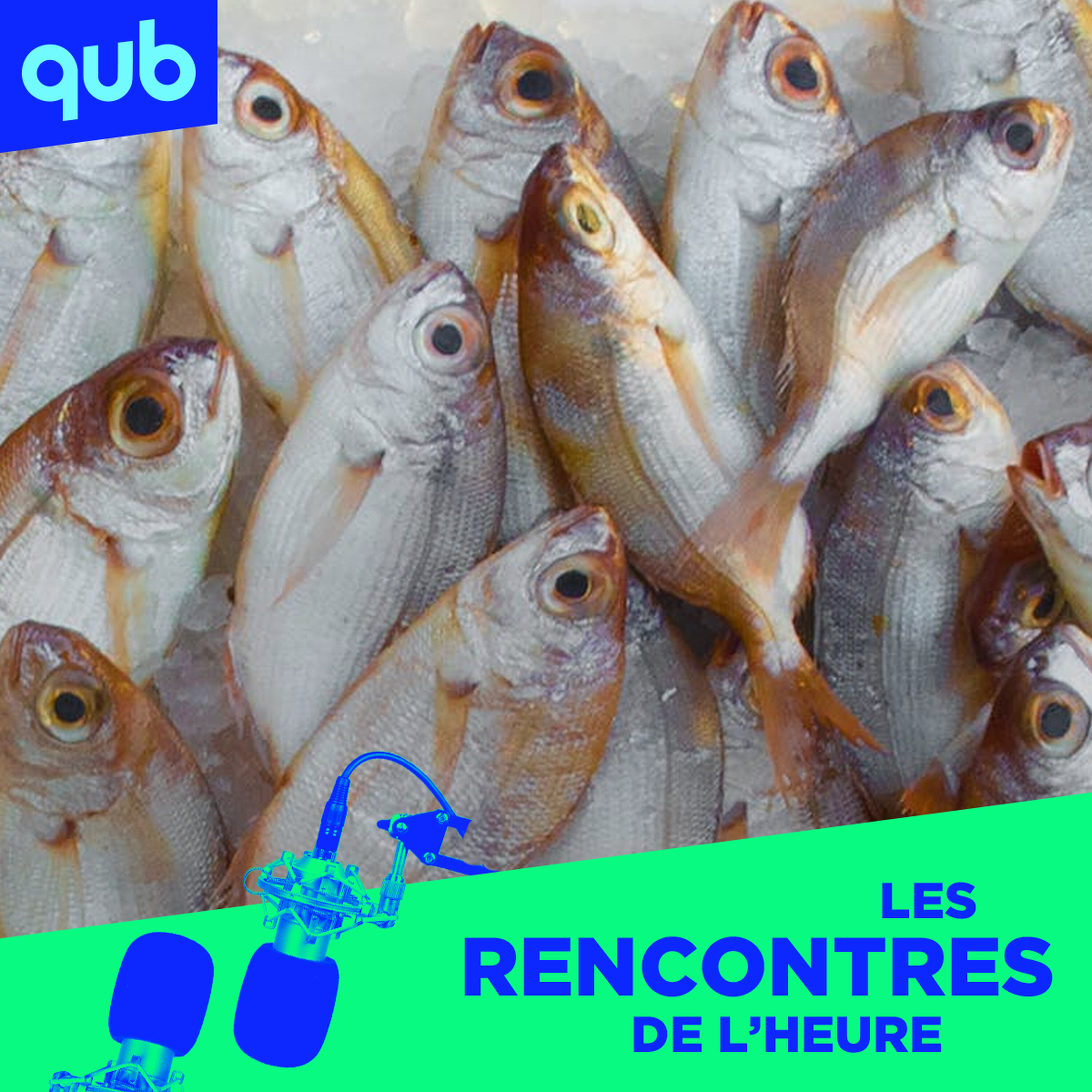 Une lasagne-dentifrice et le «savon-qui-flotte»: Marc Boilard plonge dans des échecs réussis et des réussites échouées! Une lasagne-dentifrice et le «savon-qui-flotte»: Marc Boilard plonge dans des échecs réussis et des réussites échouées!