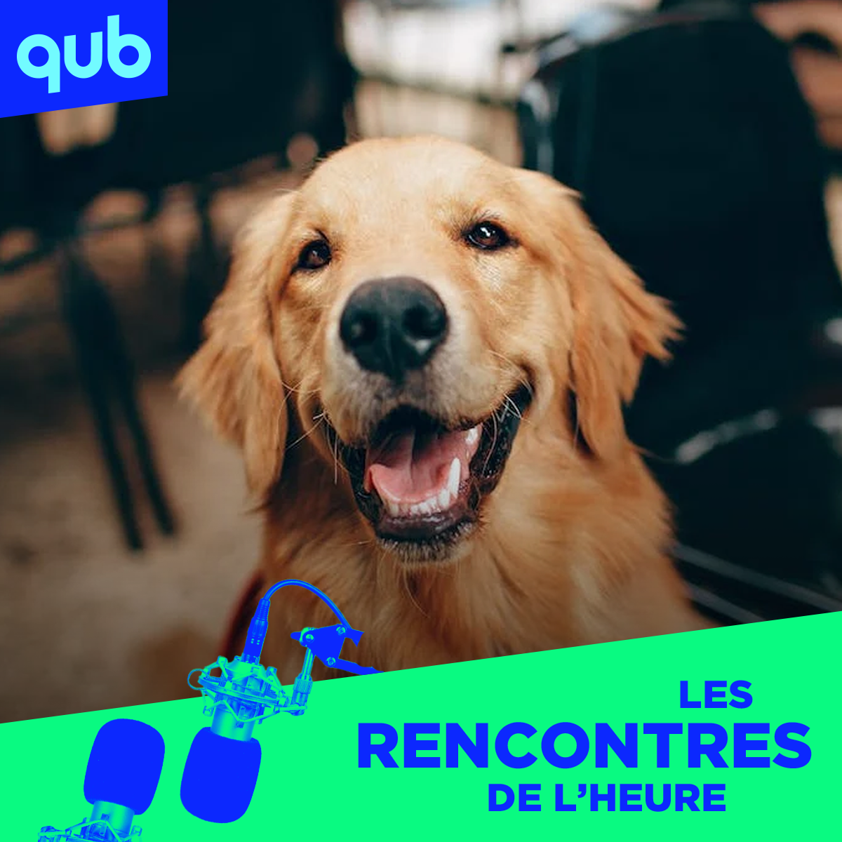 «Ça me choque, c’est l’étape de trop!»: parler aux animaux grâce à l’IA… Rémi dit STOP