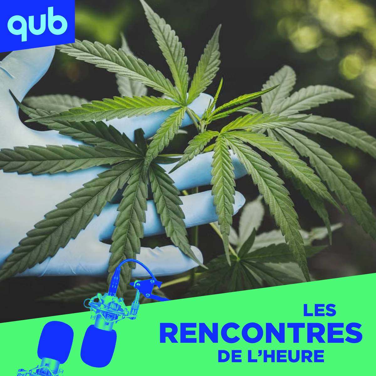 Légalisation du cannabis: «Le gouvernement fait du profit la-dessus», rappelle Étienne-Alexandre Beauregard