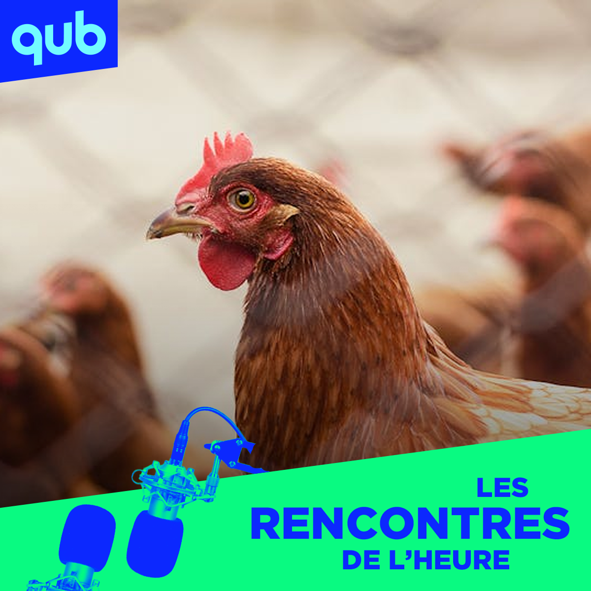 «Les conséquences de cette grippe aviaire sont énormes!», explique P-O Zappa