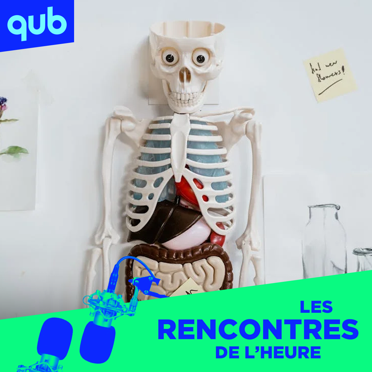 Quand l’inflammation se mêle à la longévité